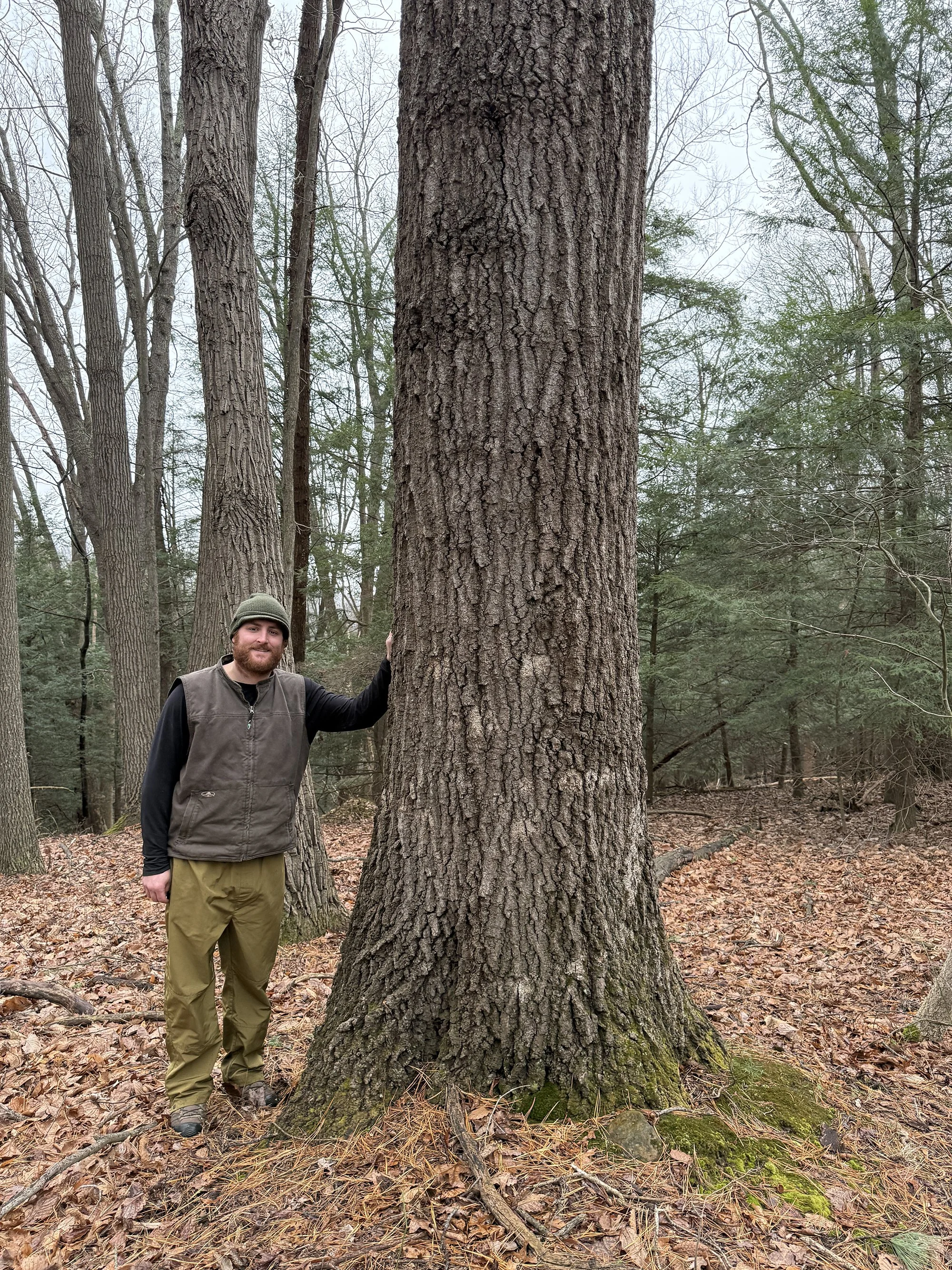 2026 Nancy S Mathias Grove (47).JPG