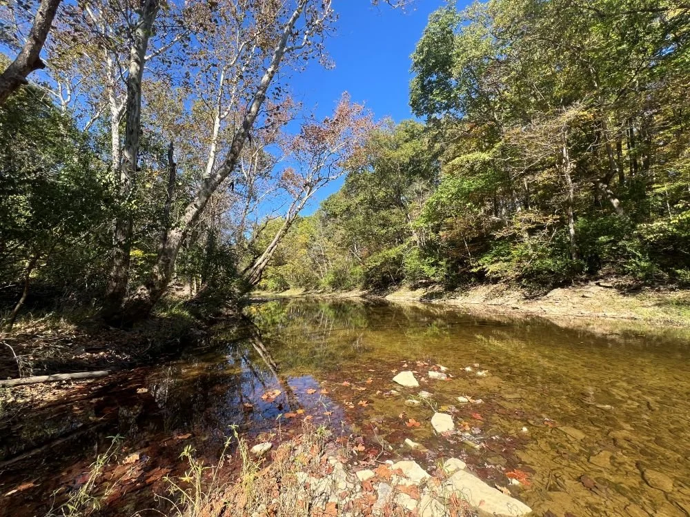 upper northside of creek.jpg