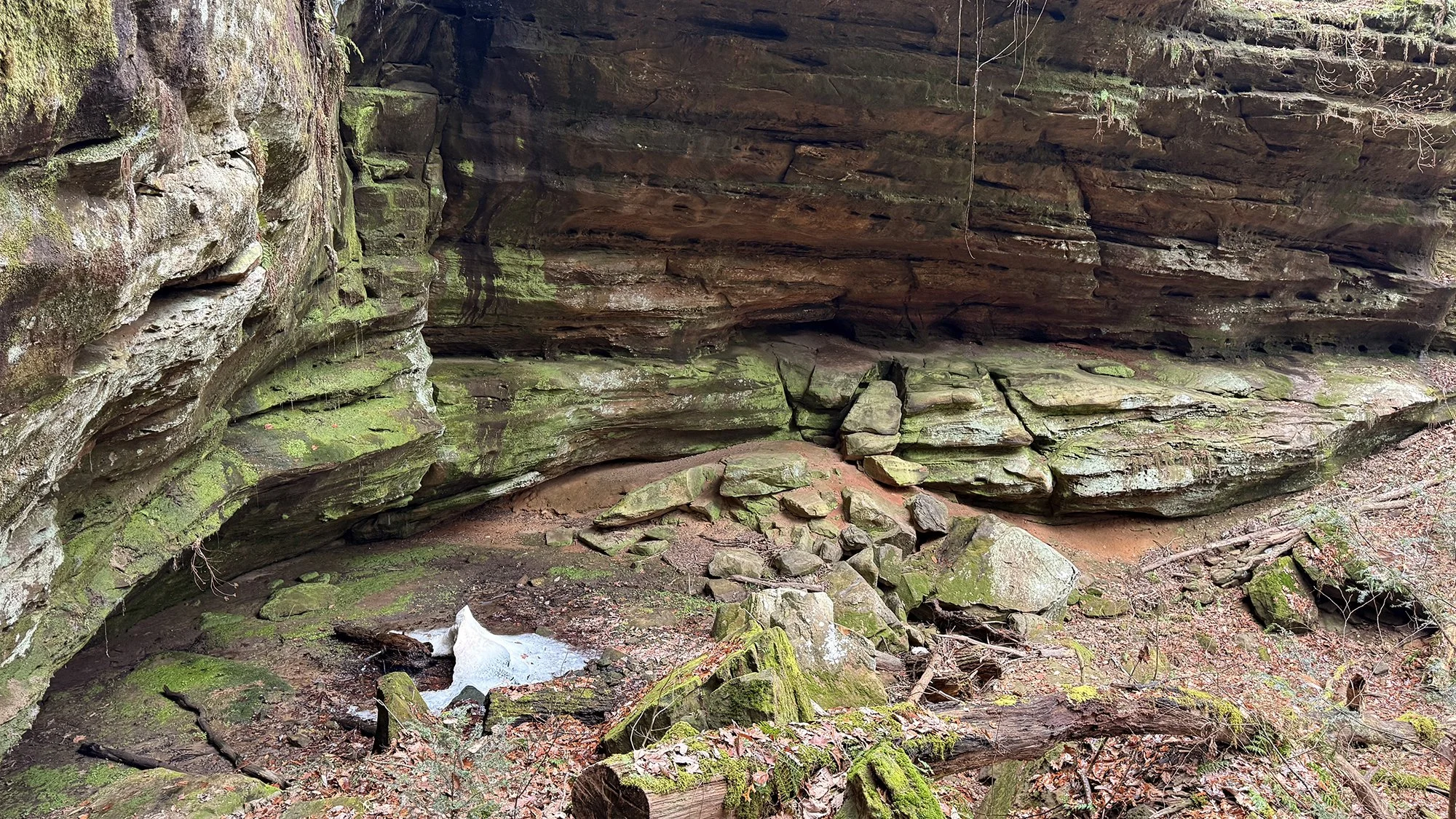 2026 Nancy S Mathias Grove (34).JPEG