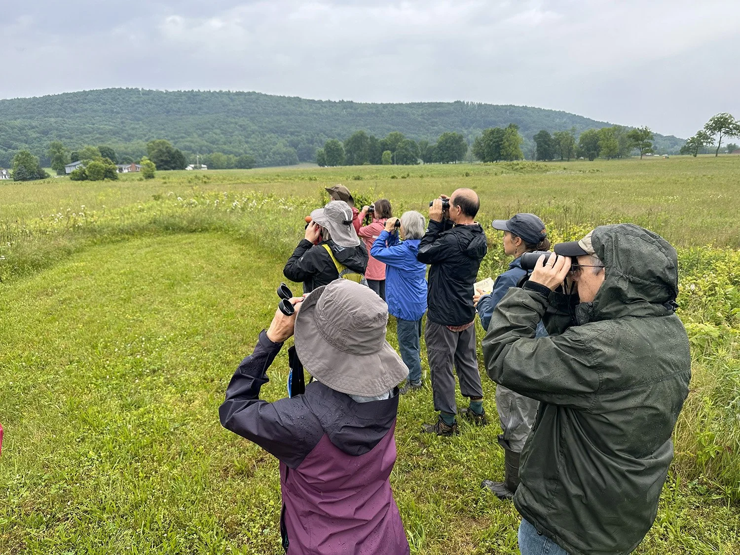 Birding at Siep Mound.