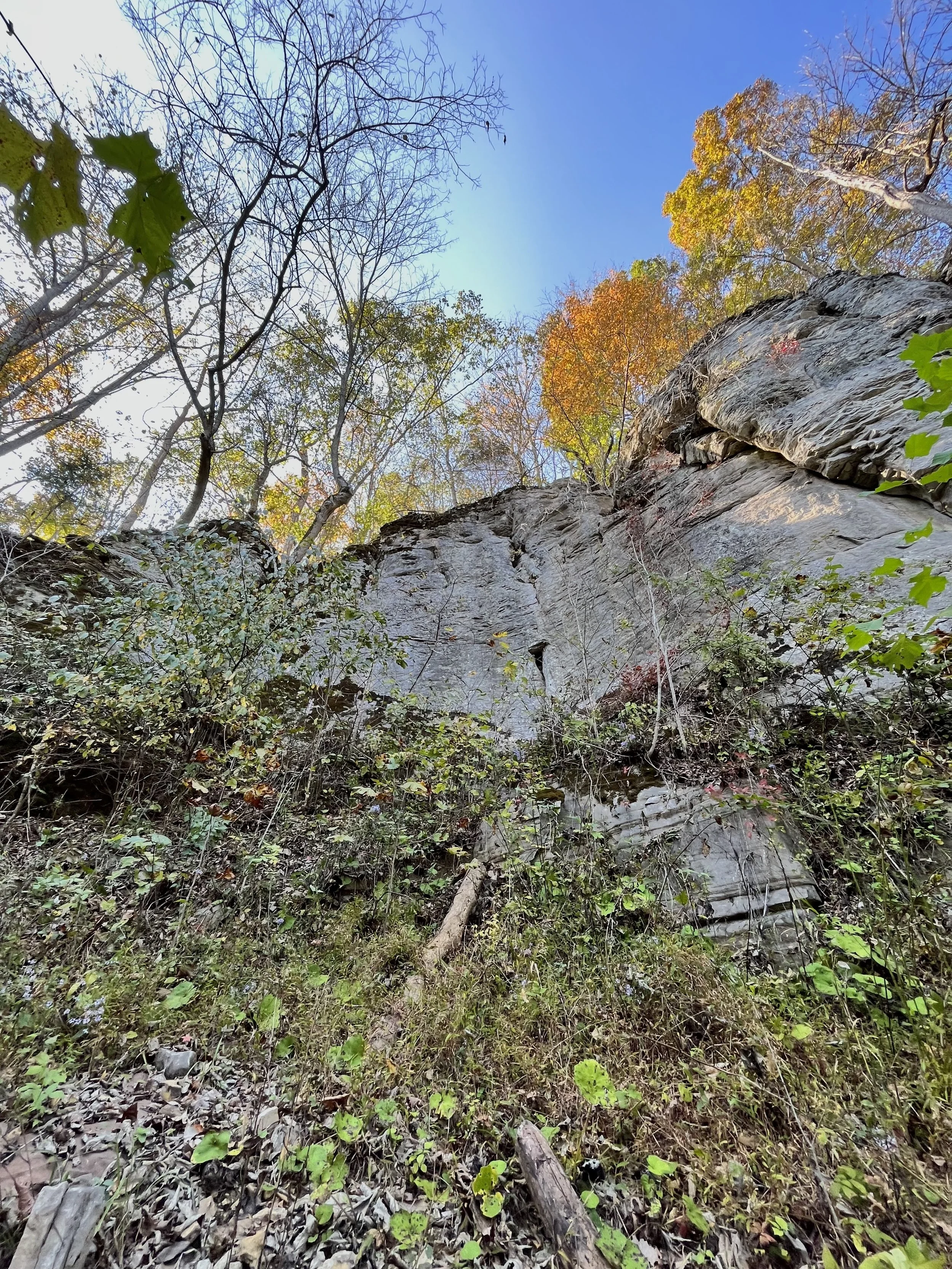 Photo Oct 11 2024, 3 38 05 PM.jpg