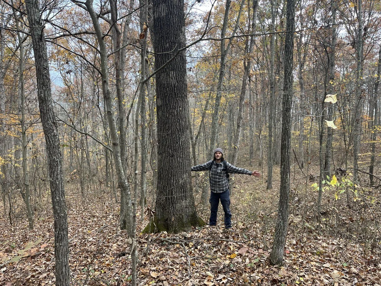 Skidmore Woods John Howard (2).JPG