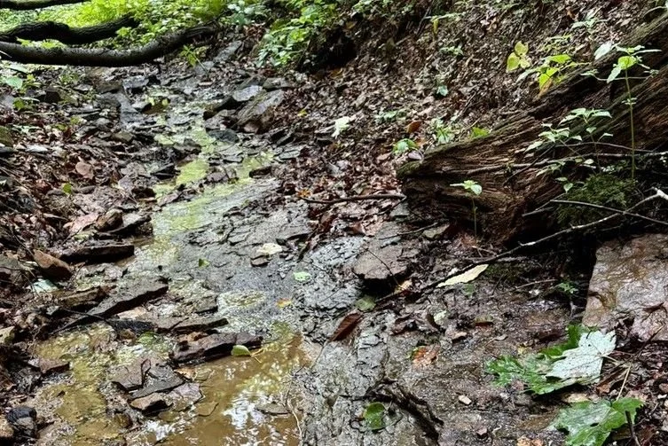 Shale bottomed creek.John Watts.jpg