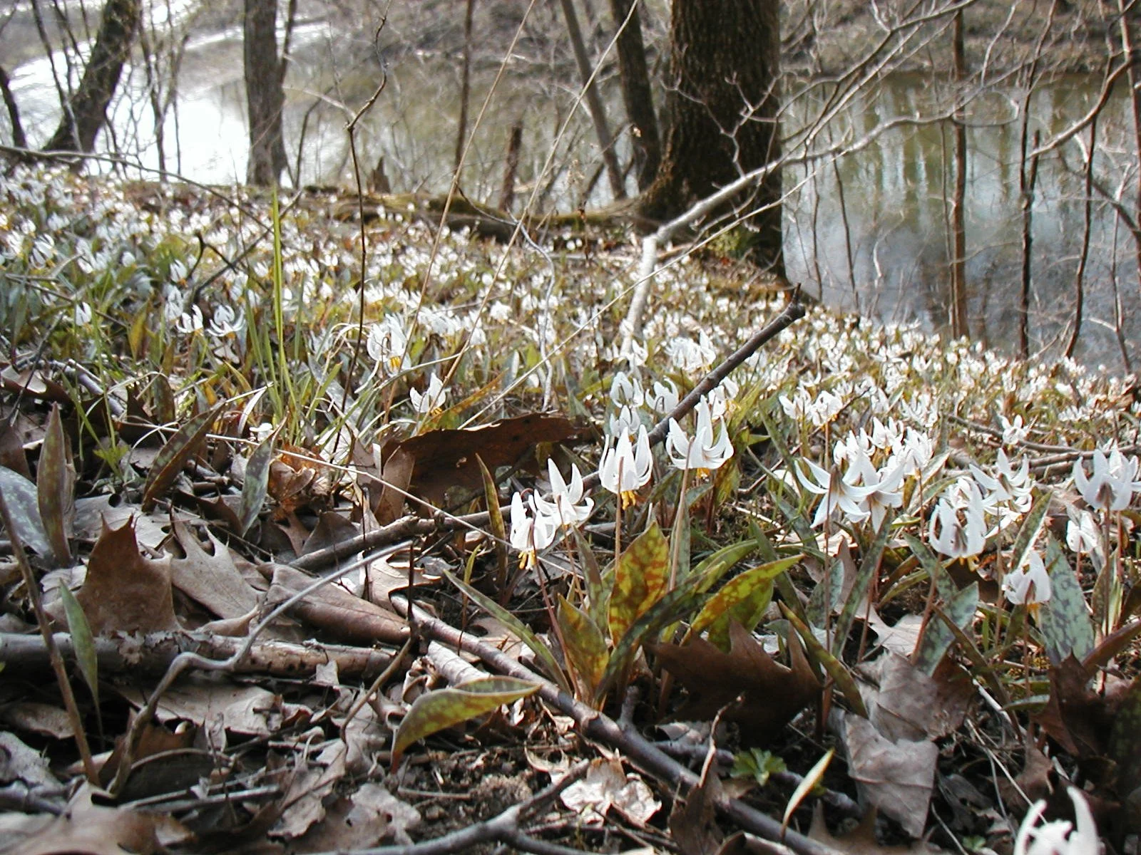 P4070461.JPG