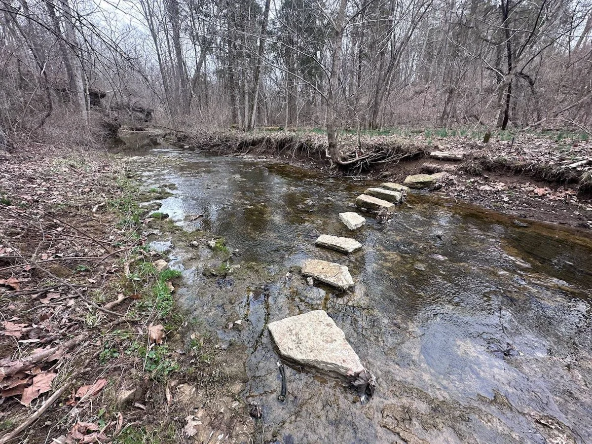 A small creek in a wooded area with a stepping stone path crossing the water.