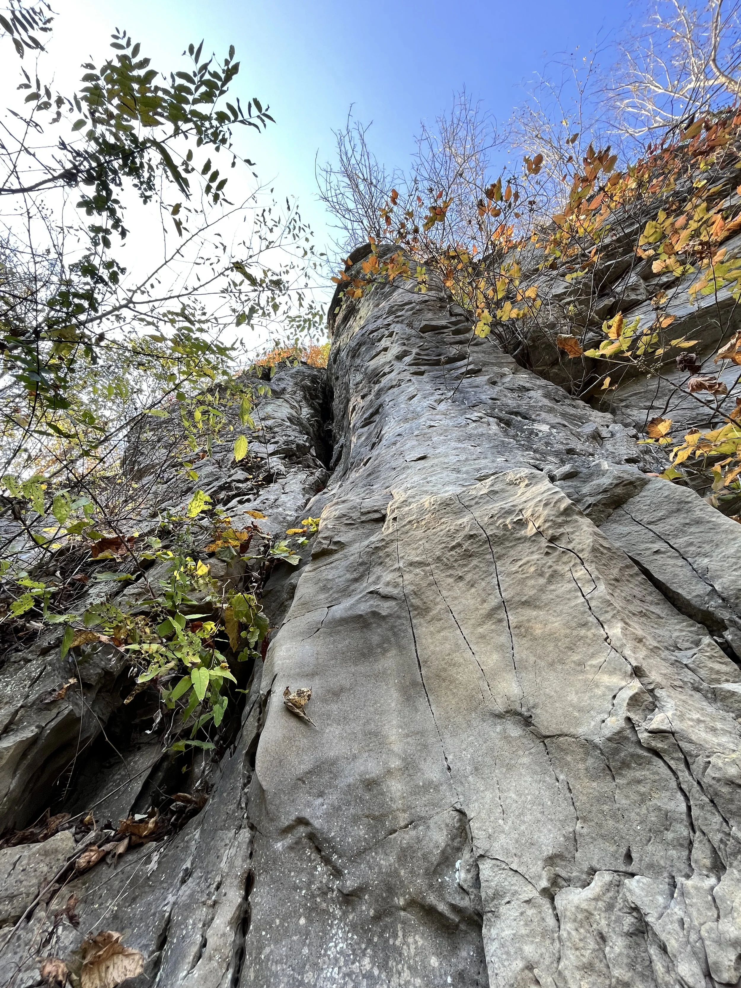 Photo Oct 11 2024, 3 36 38 PM.jpg