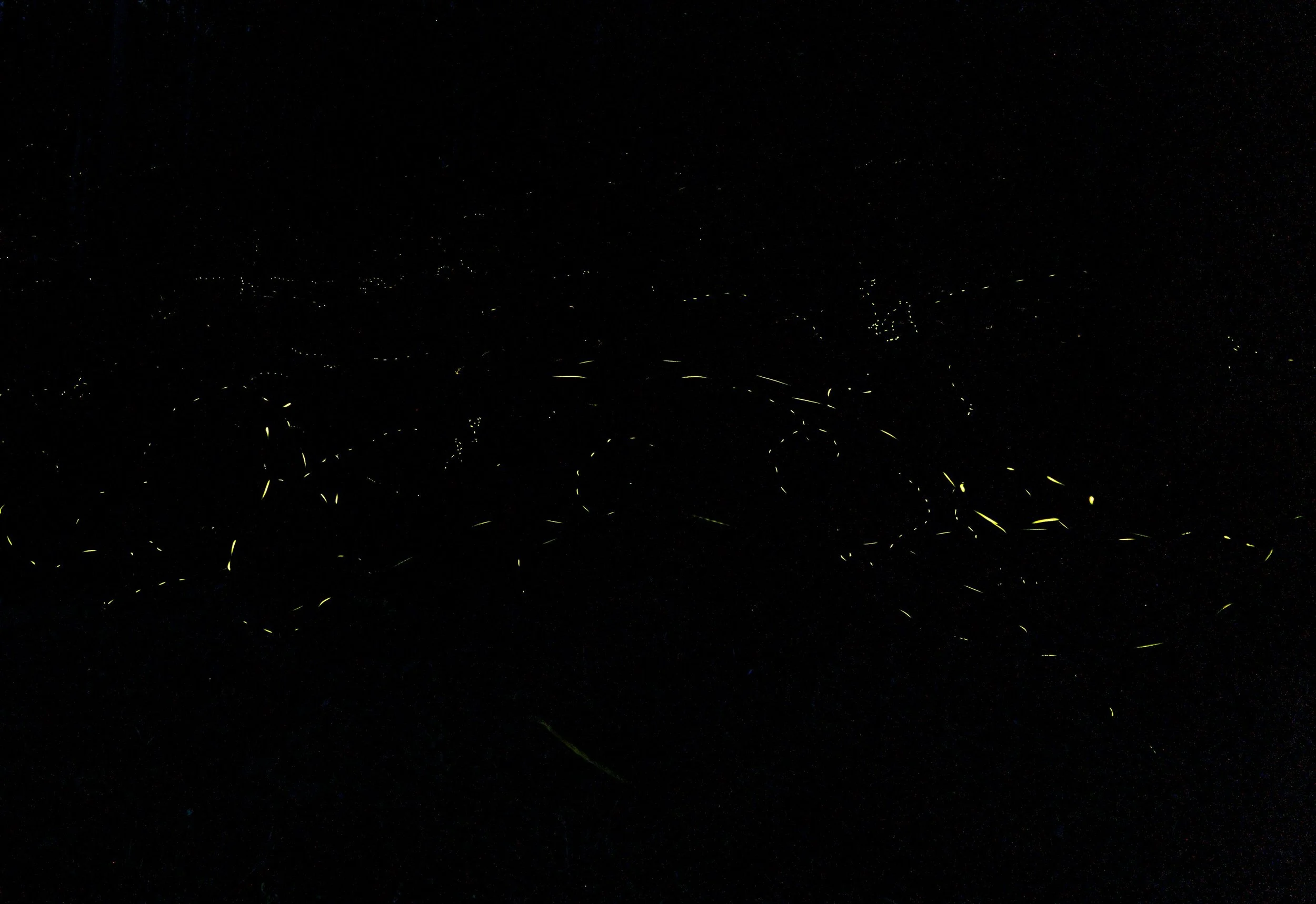 photo by Brian Prose