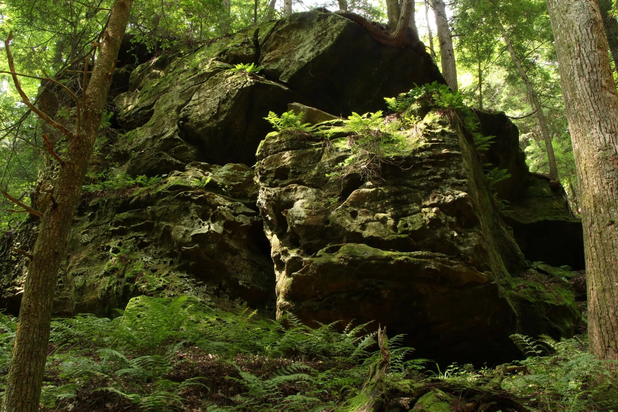 Red Rock Bluffs — Arc of Appalachia