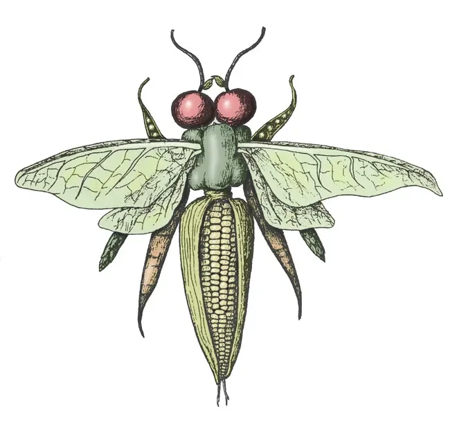 "Entomophagy," an artwork by Barrett Klein