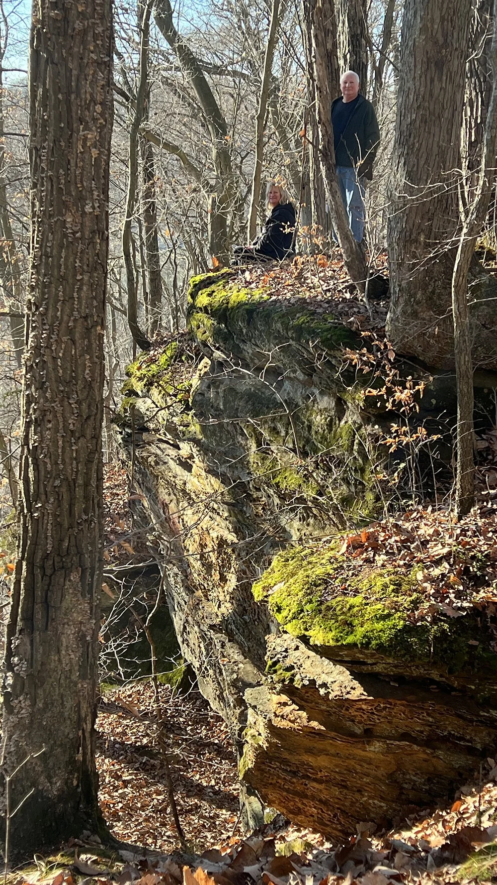 Pip Ridge | Explore and Conserve Today — Arc of Appalachia