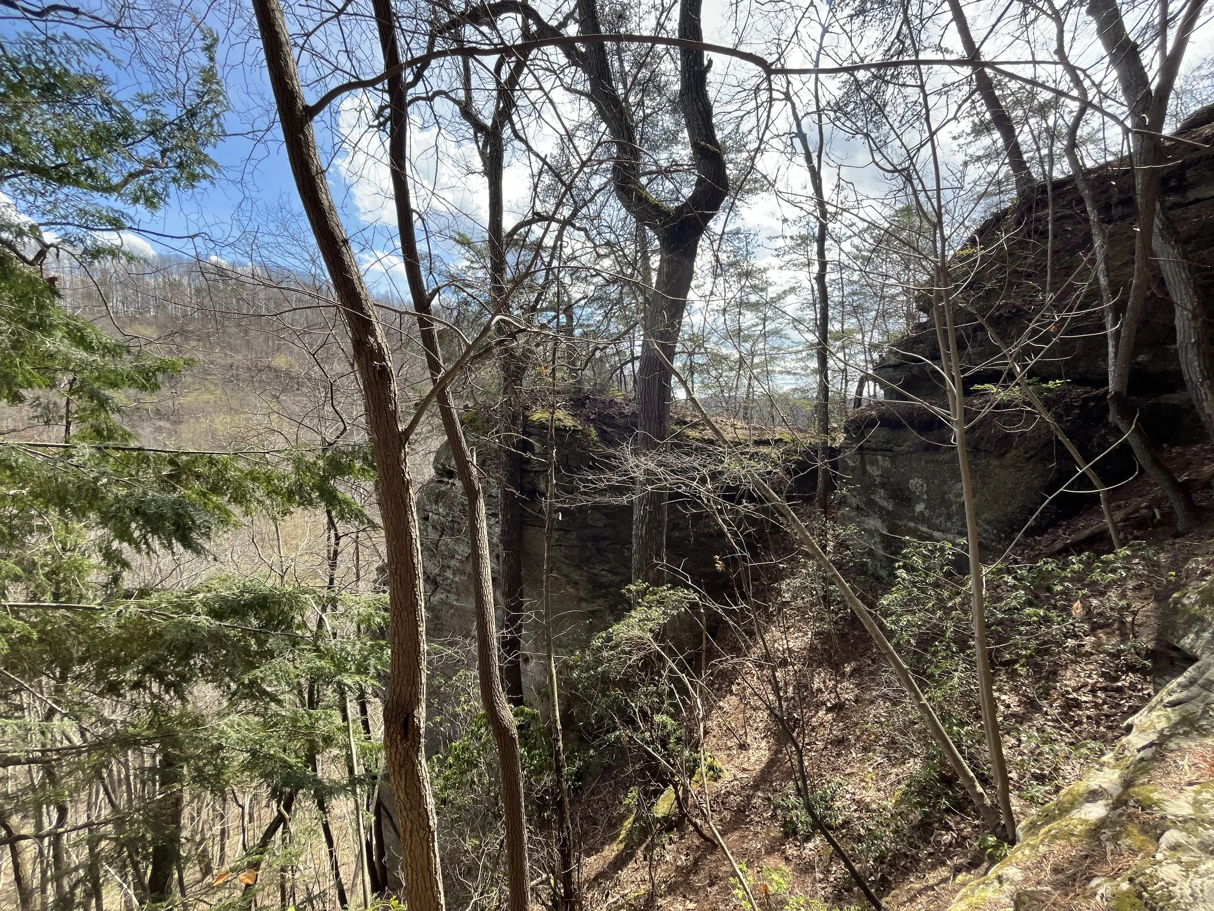 Photo Apr 02 2026, 2 30 23 PM.jpg