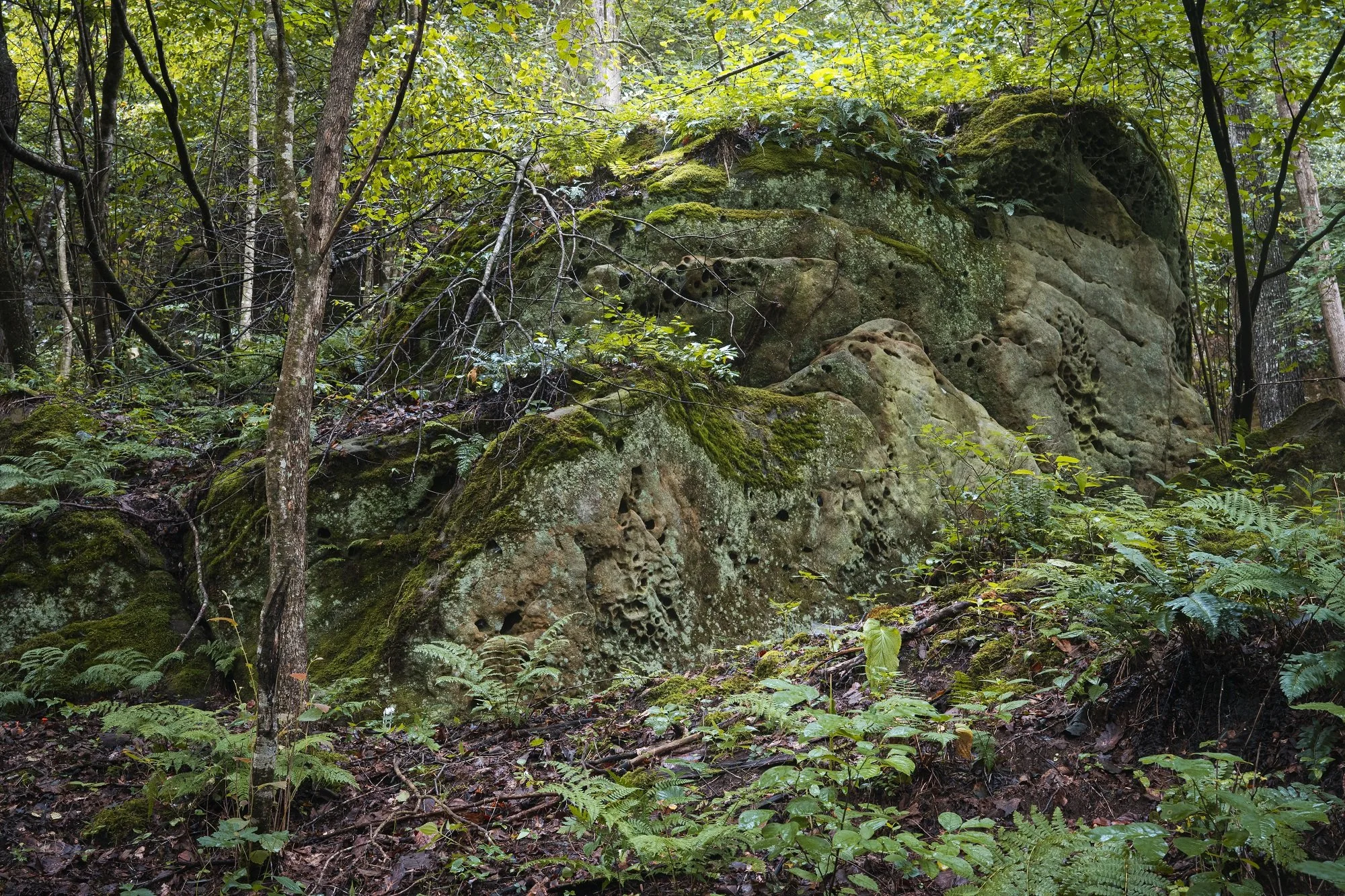 20250719-Goulet-017.jpg