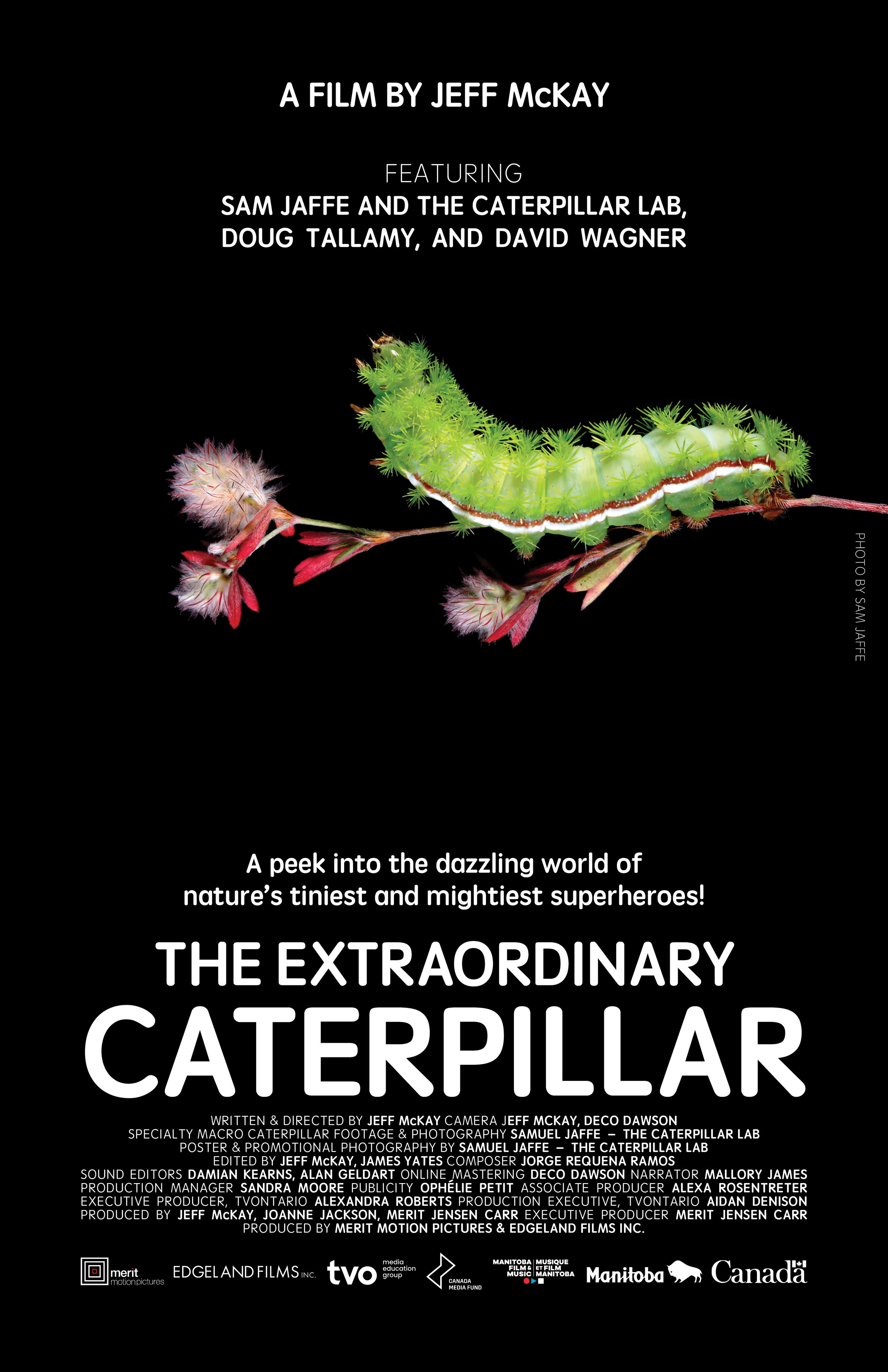 Title screen of a film titled 'The Extraordinary Caterpillar' featuring a bright green caterpillar on a branch with pink and white flowers, set against a black background. The text mentions the film is by Jeff McKay and highlights major contributors, with logos of production companies and sponsors at the bottom.