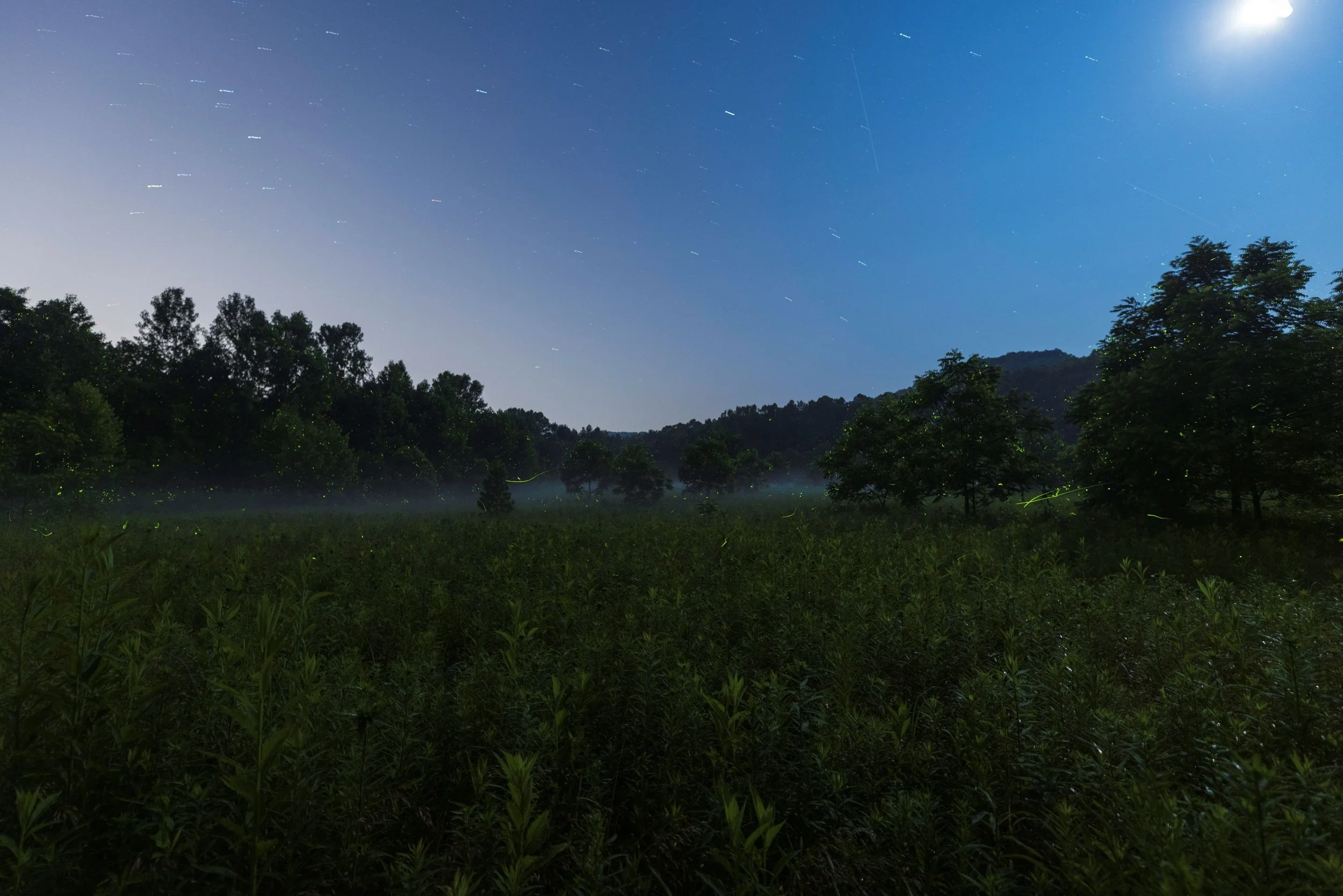 photo by Brian Prose