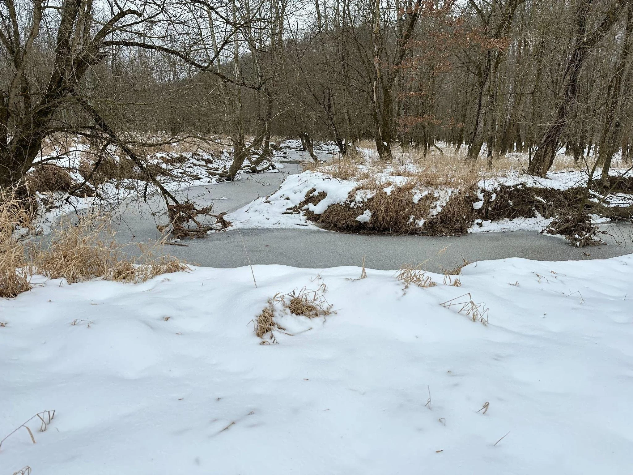 Lower Black Creek in winter.jpeg