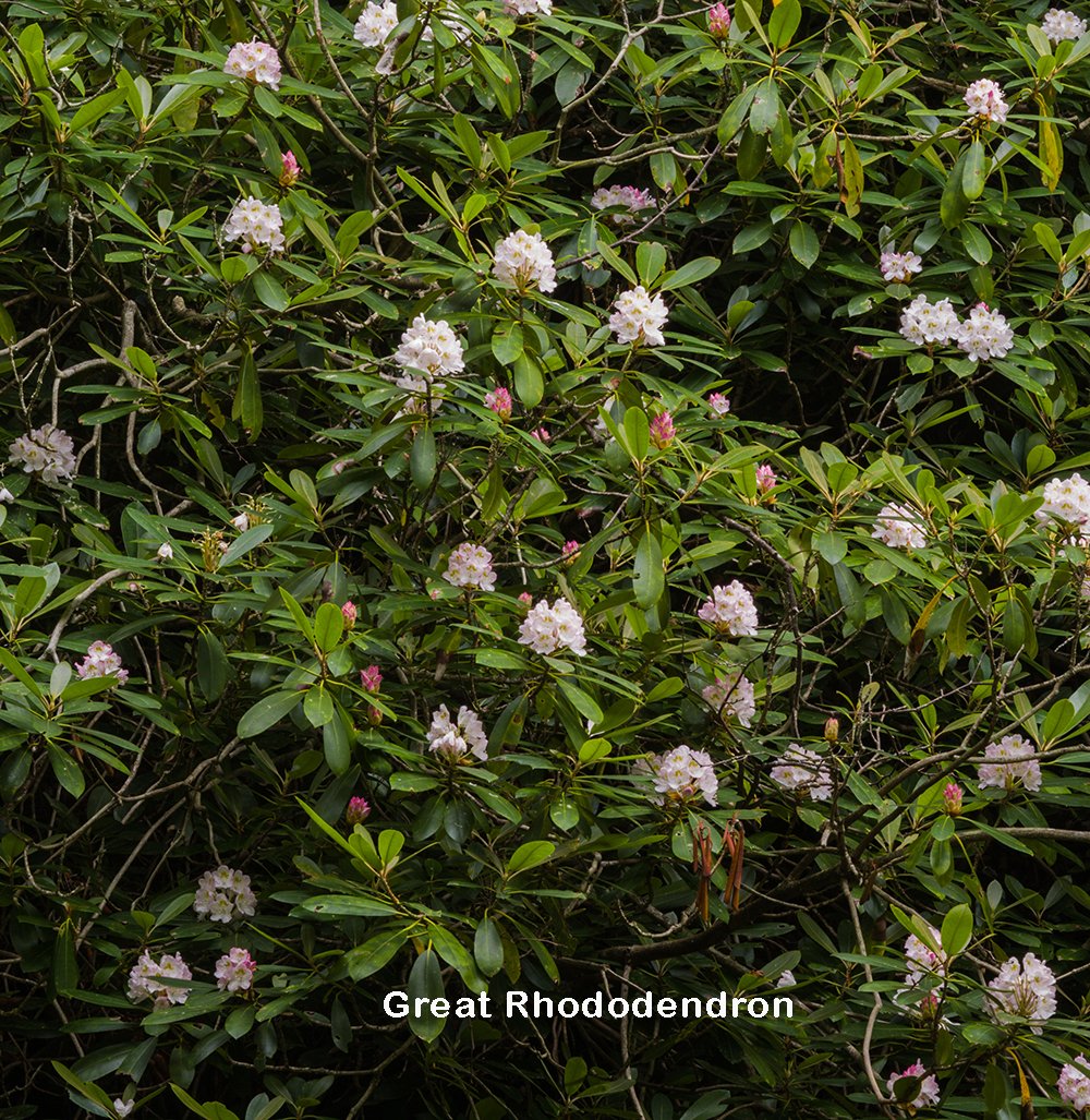 AdobeStock_310006914.jpeg