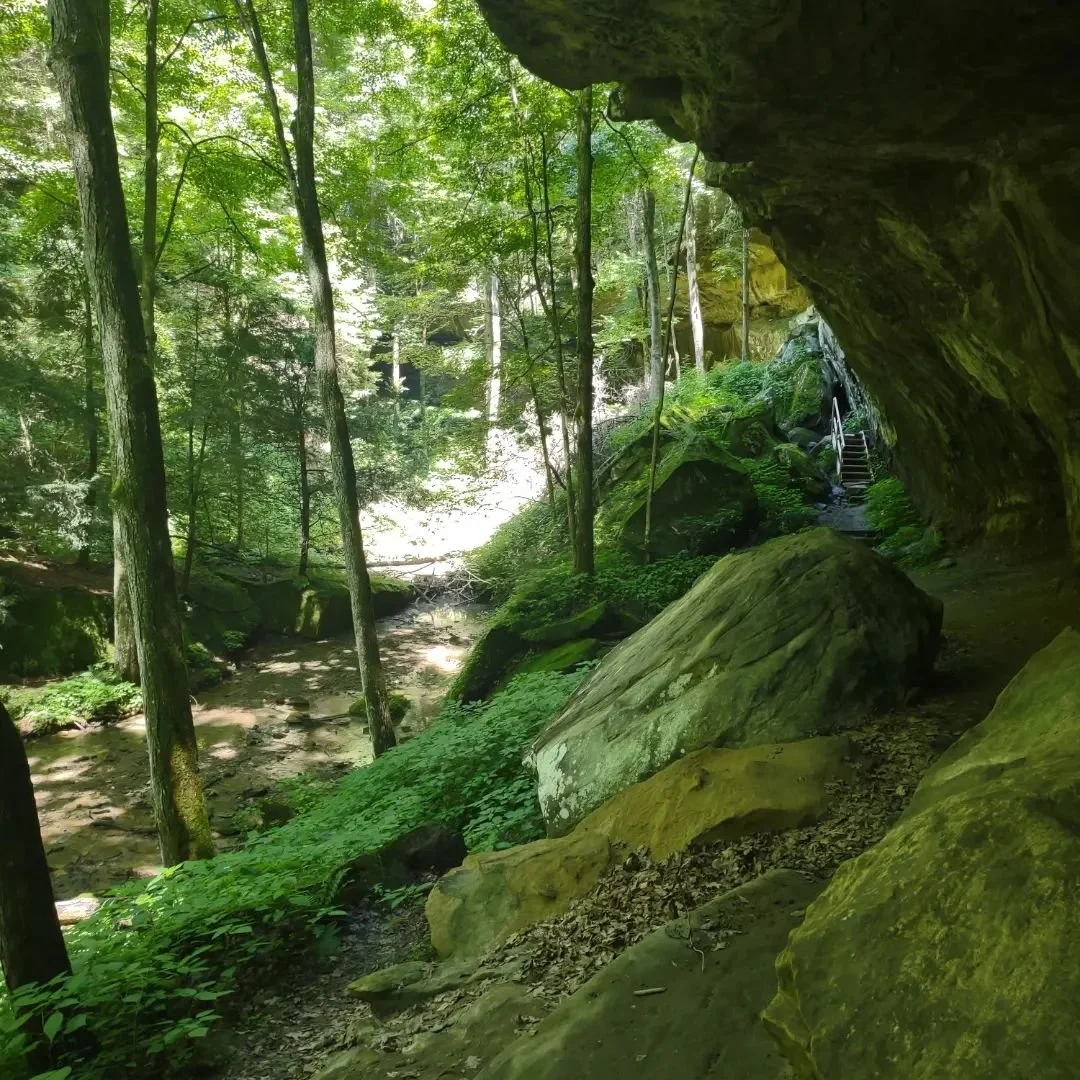 A lush green forest scene with tall trees, moss-covered rocks, and a small river or stream flowing through the area. There is a rocky overhang on the right side with a staircase leading up.