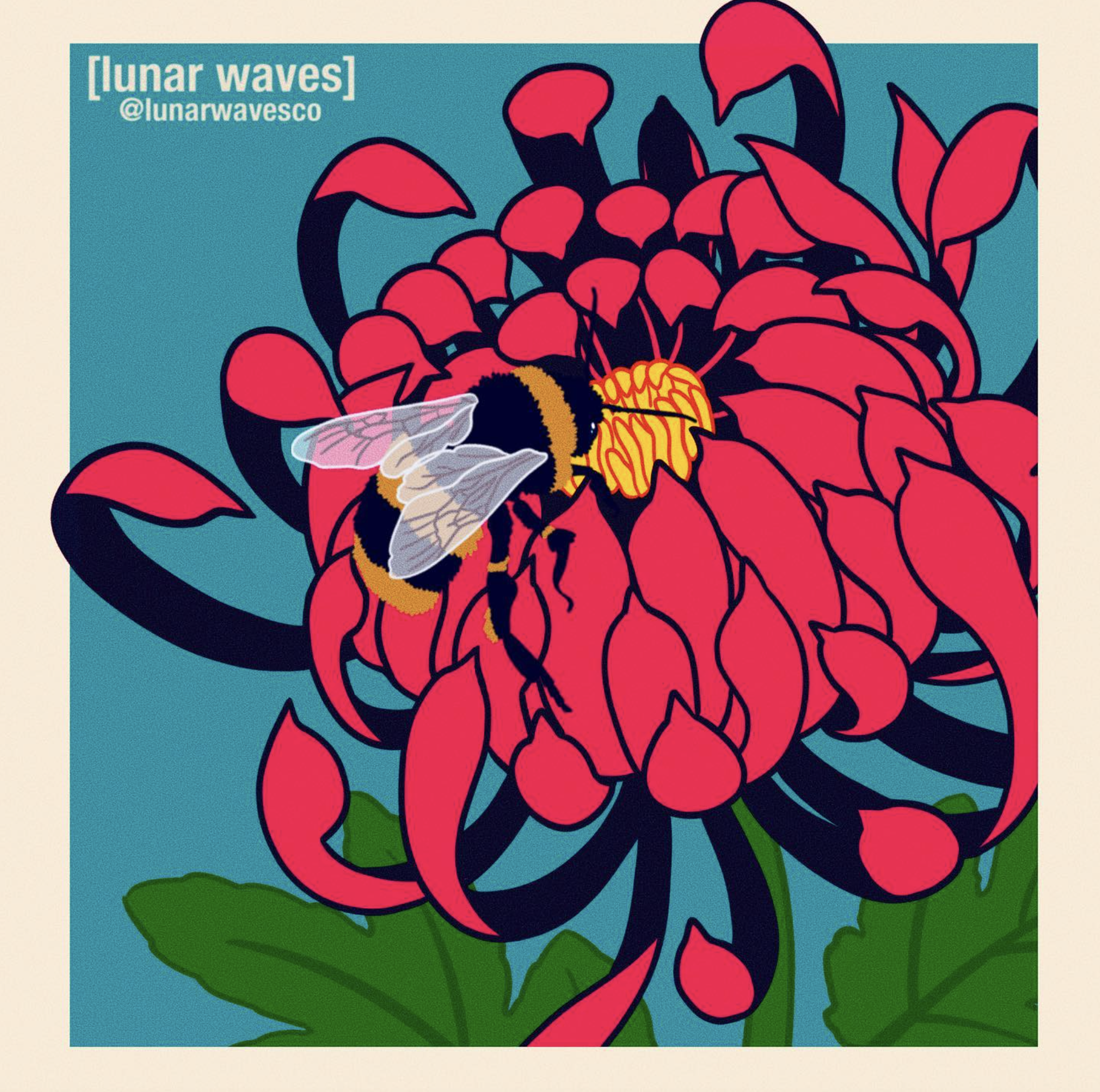 Screen Shot 2025-06-14 at 1.21.37 PM.png