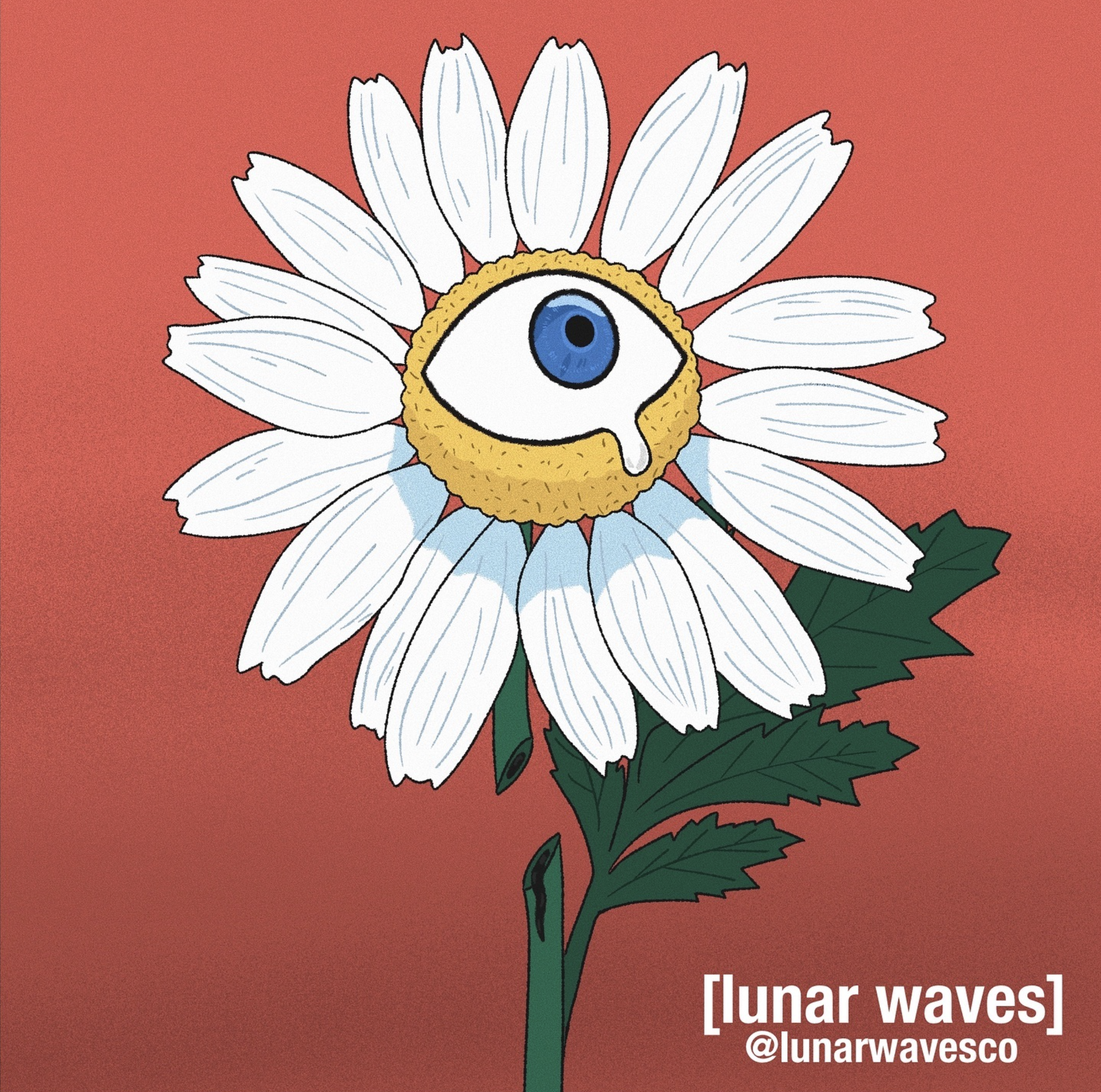 Screen Shot 2025-06-14 at 1.21.47 PM.png