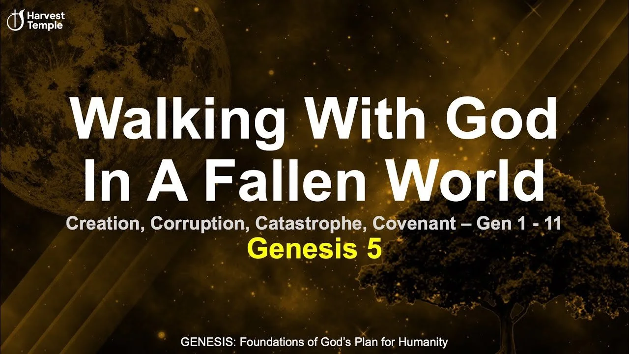 Sunday 8th February 2026.jpg