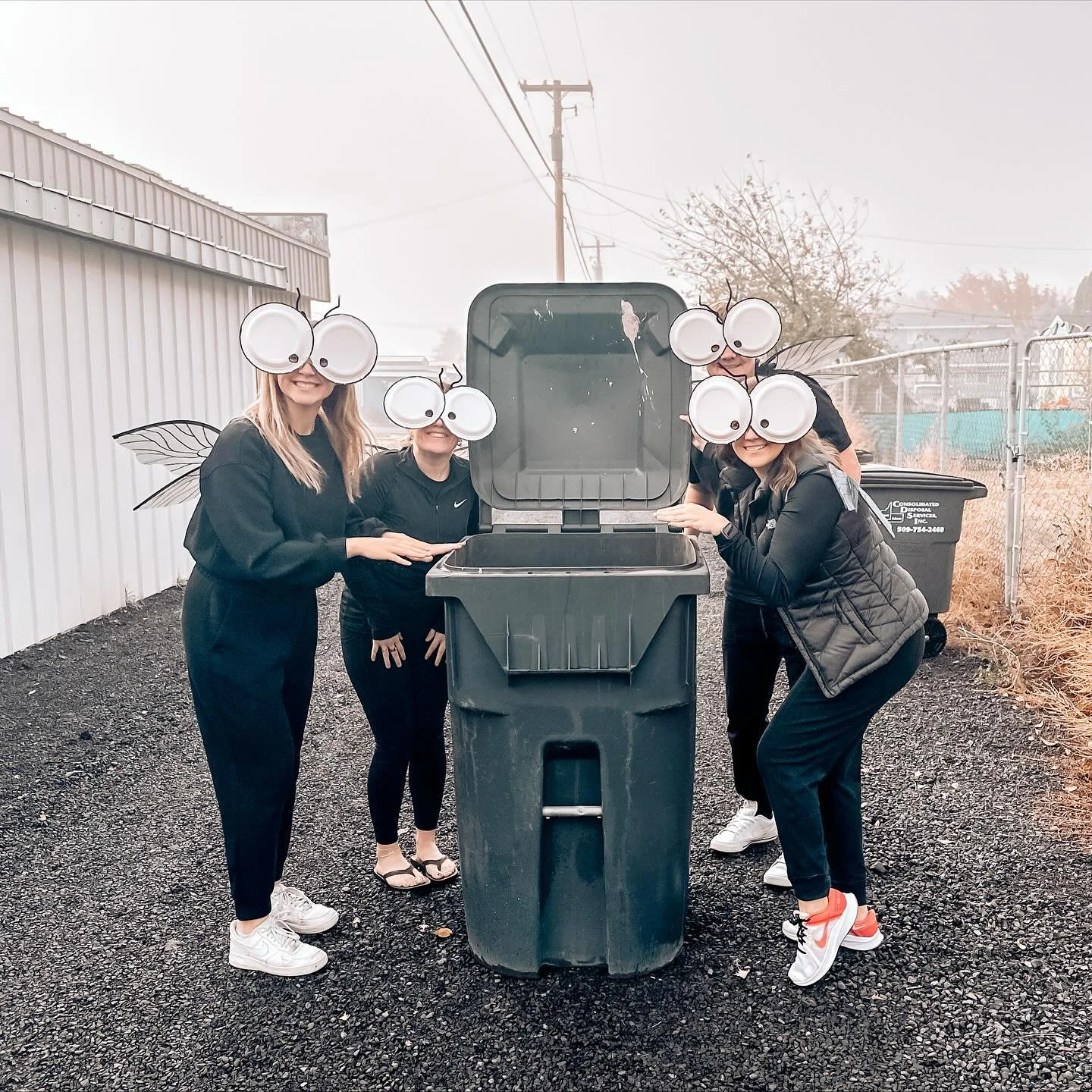 The flies have been awful this season! 🪰