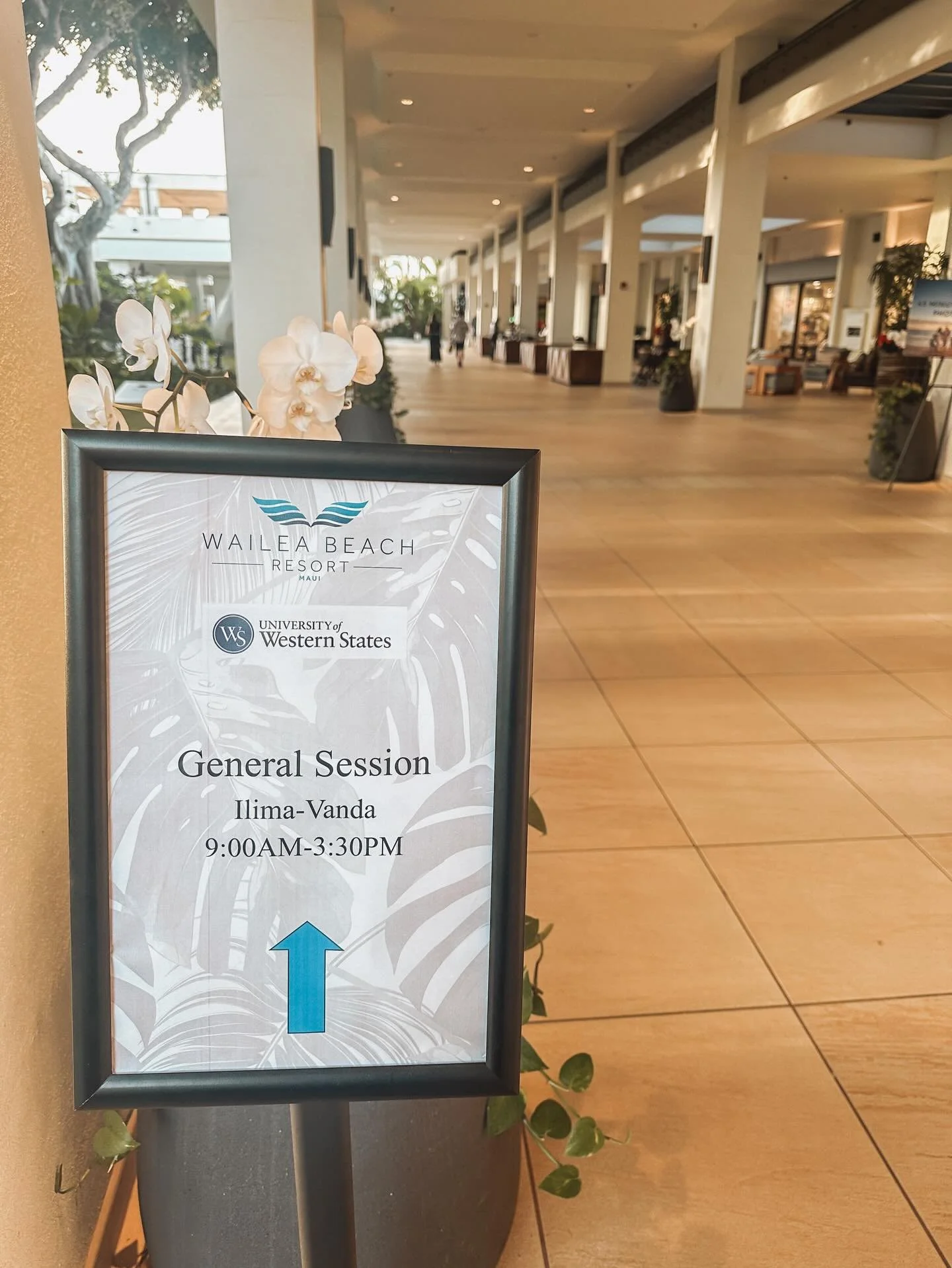 Day 1 of Doc&rsquo;s seminar!