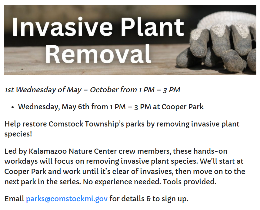 Cooper Park Invasive Weed Pull, Comstock Township