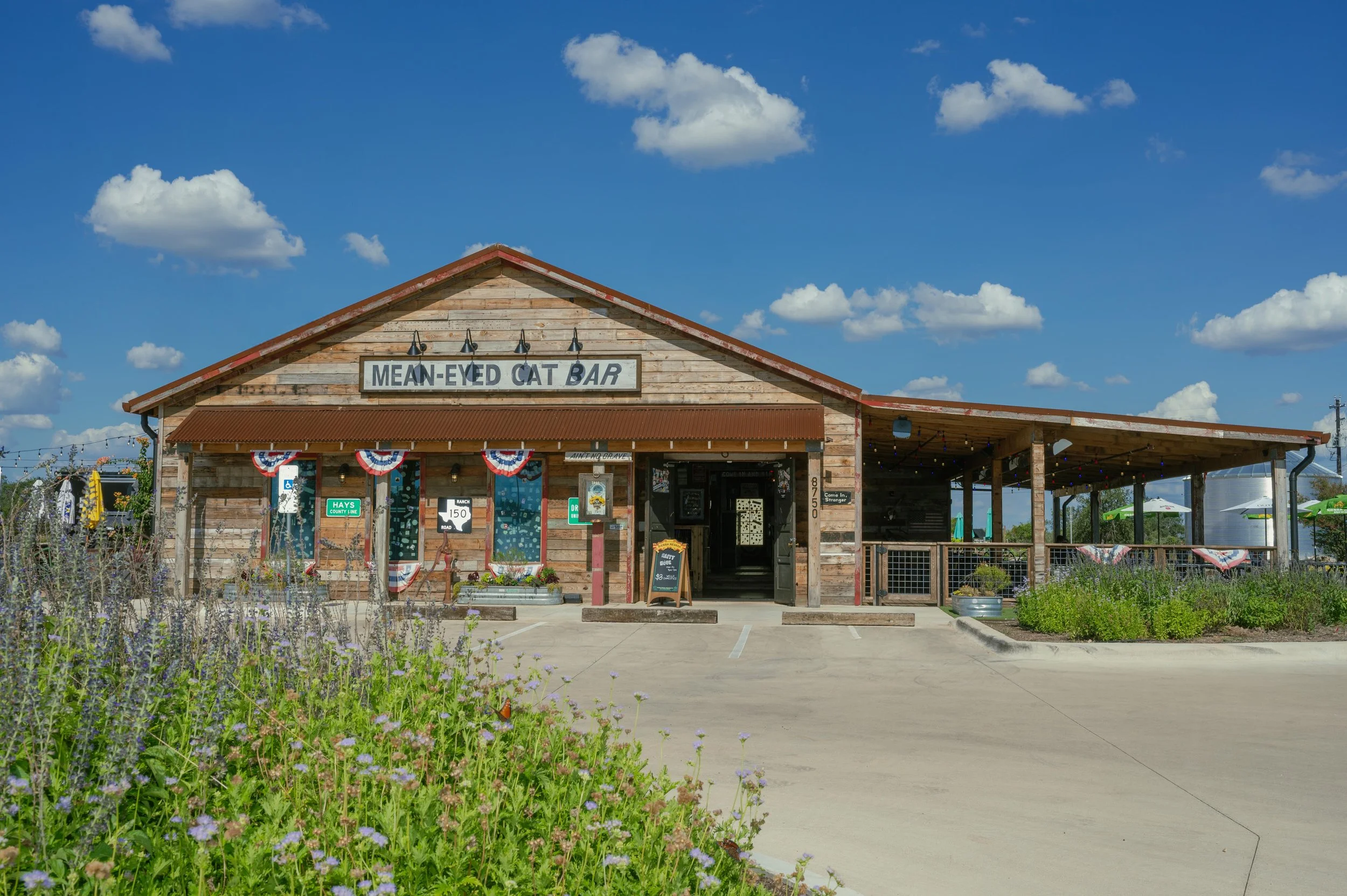 Mean Eyed Cat Driftwood  4.jpg