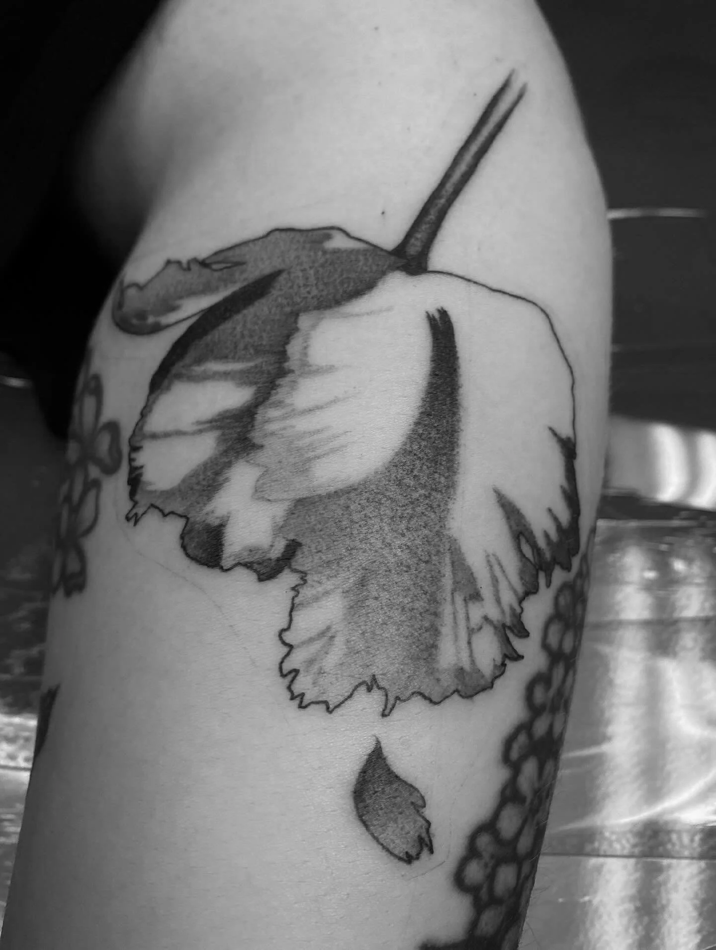 I was going to use a twilight song because of the first tattoo but they all suck so I can’t do that. Get it because theyre vampires? Nah but seriously here’s some tats and an Idles song. Lovely several years healed tattoo on the last slid