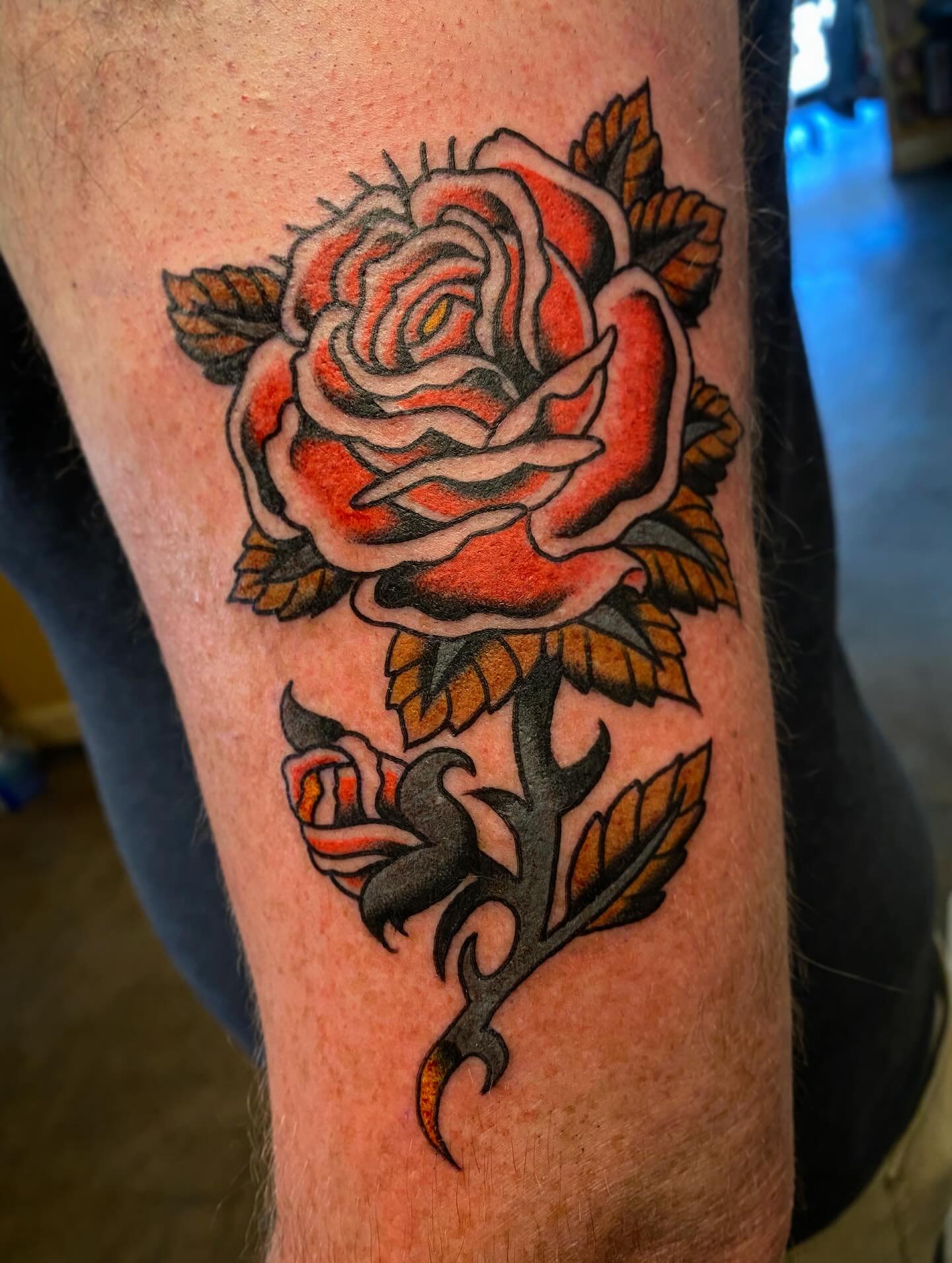 One that&rsquo;s still sprightly, and a couple more settled into their homes.

Visit the real habitat for humanity: @sickleandmoontattoo