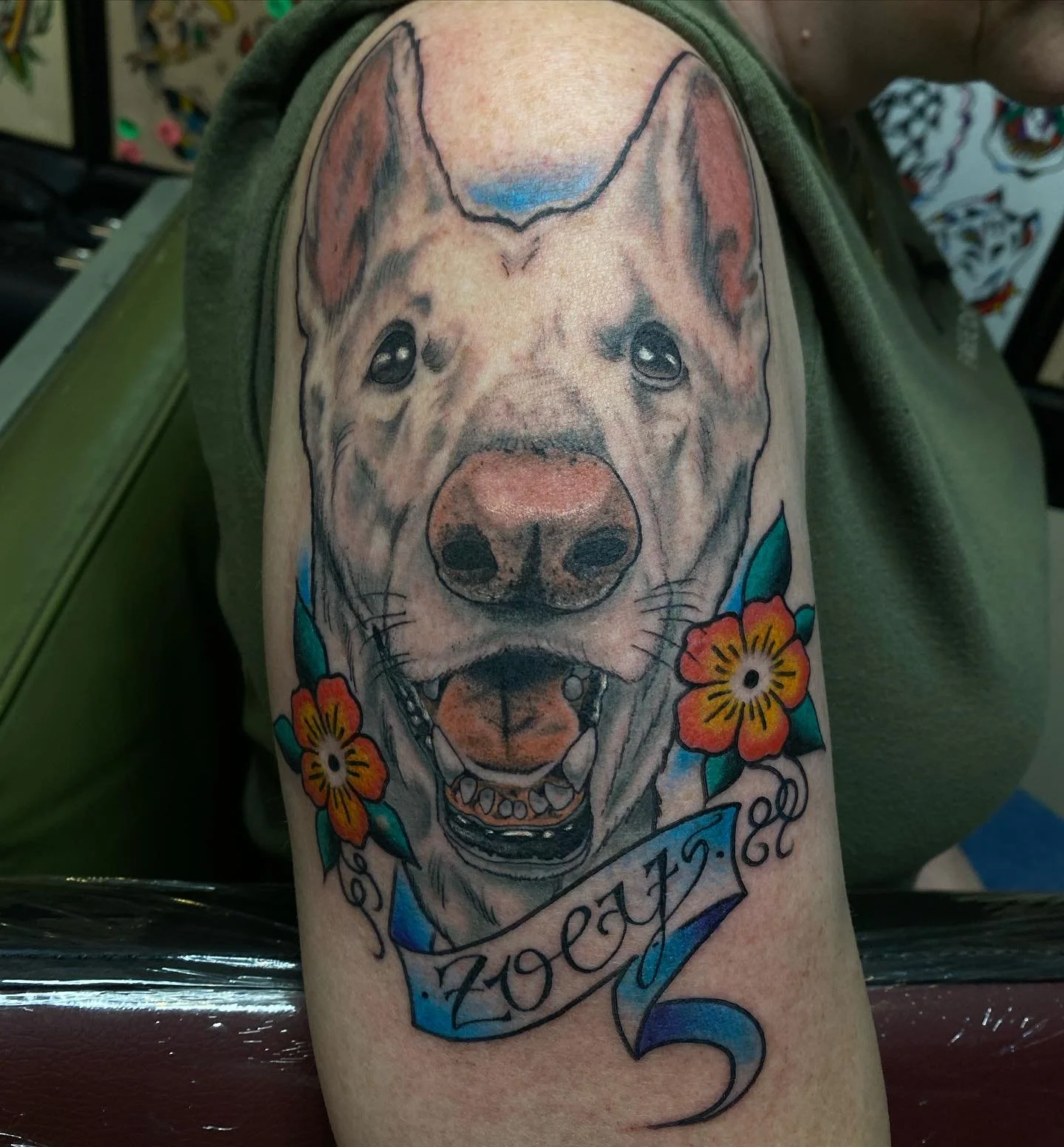 dog.jpg