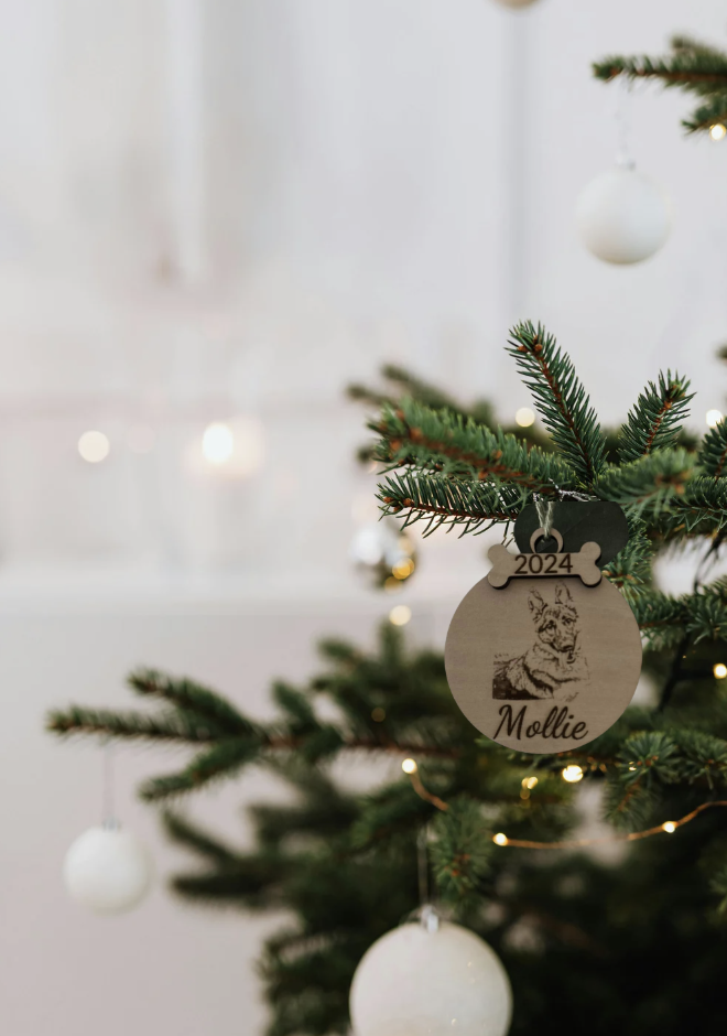 Screenshot 2025-11-12 at 4.12.22 PM.png