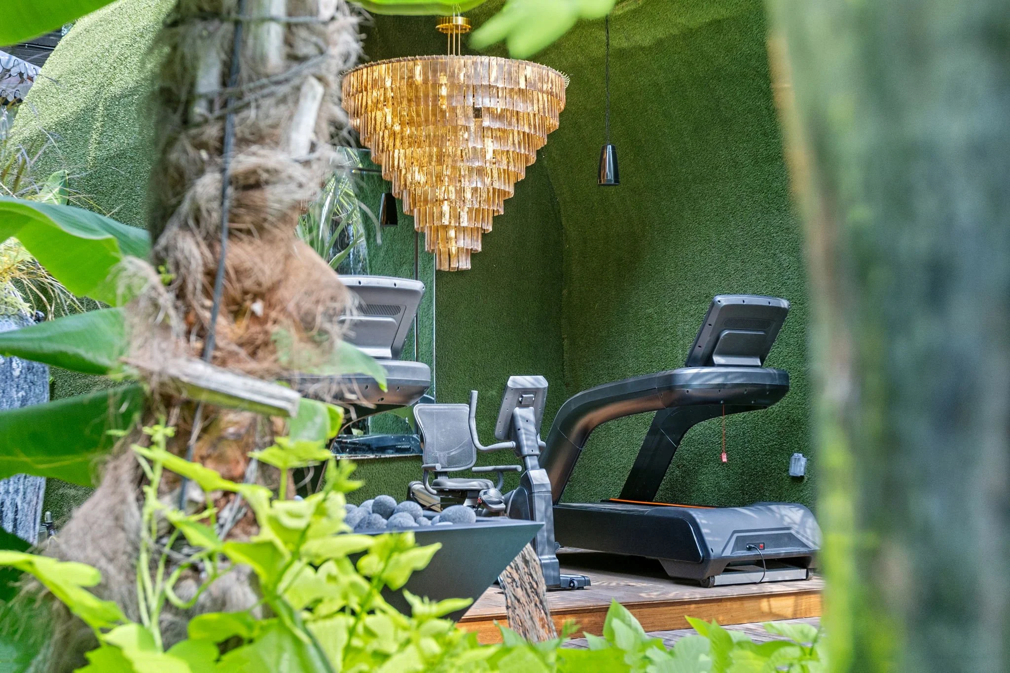 Copy of Treadmill.jpg