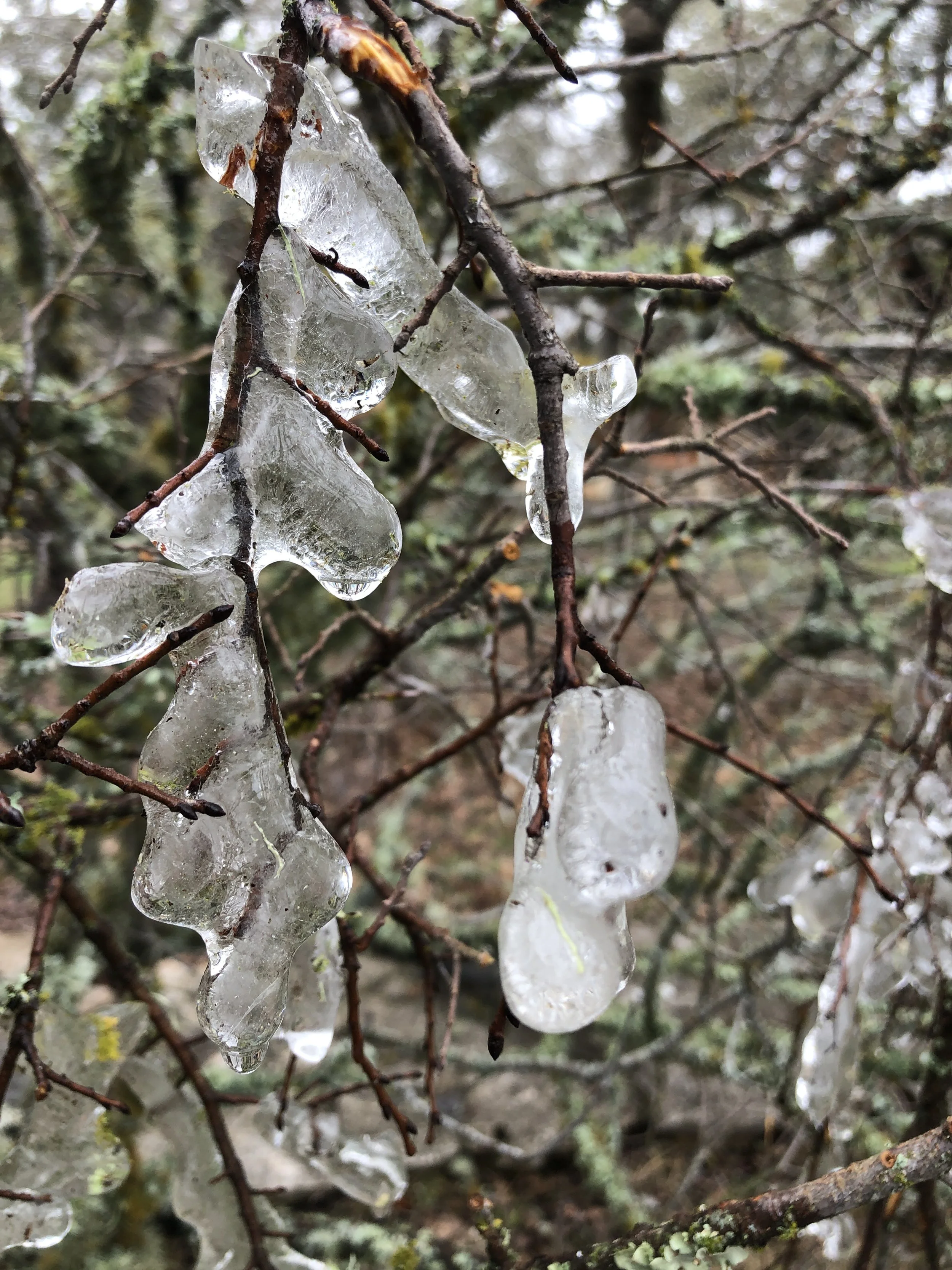 a love letter to impermanence