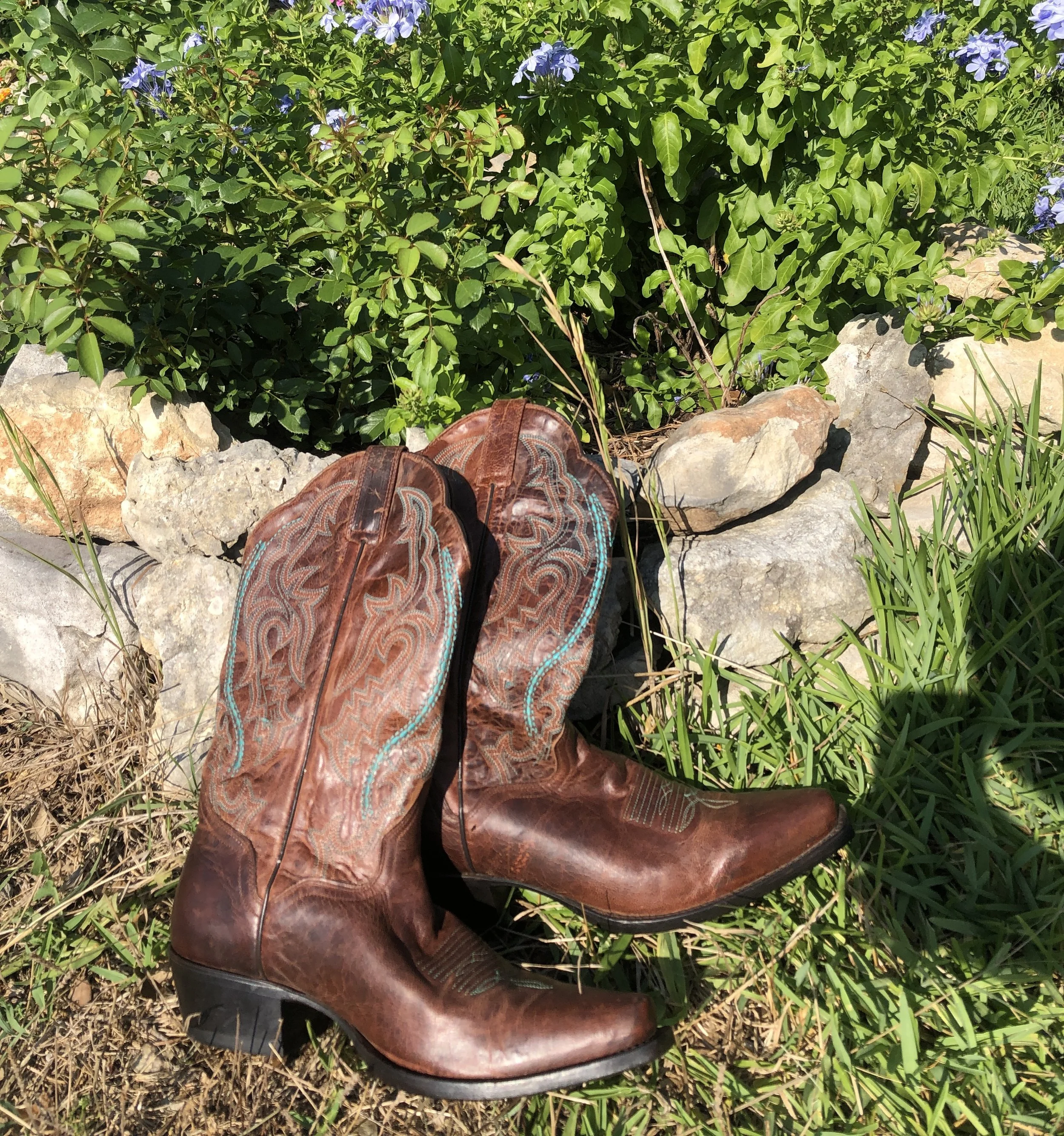 a love letter to cowboy boots