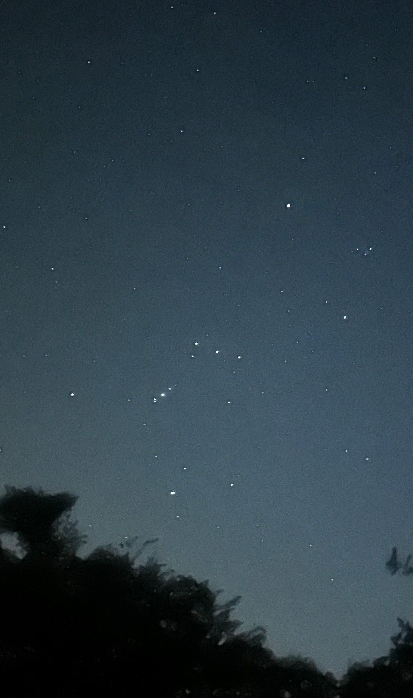 a love letter to Orion