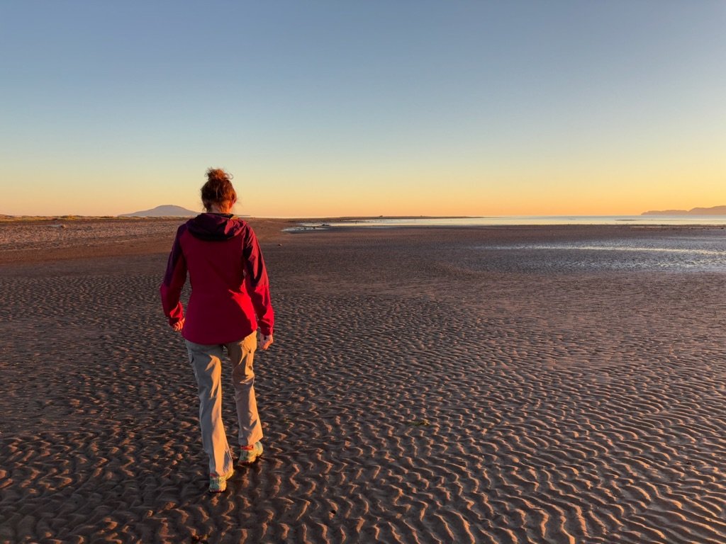 a love letter to freedom
