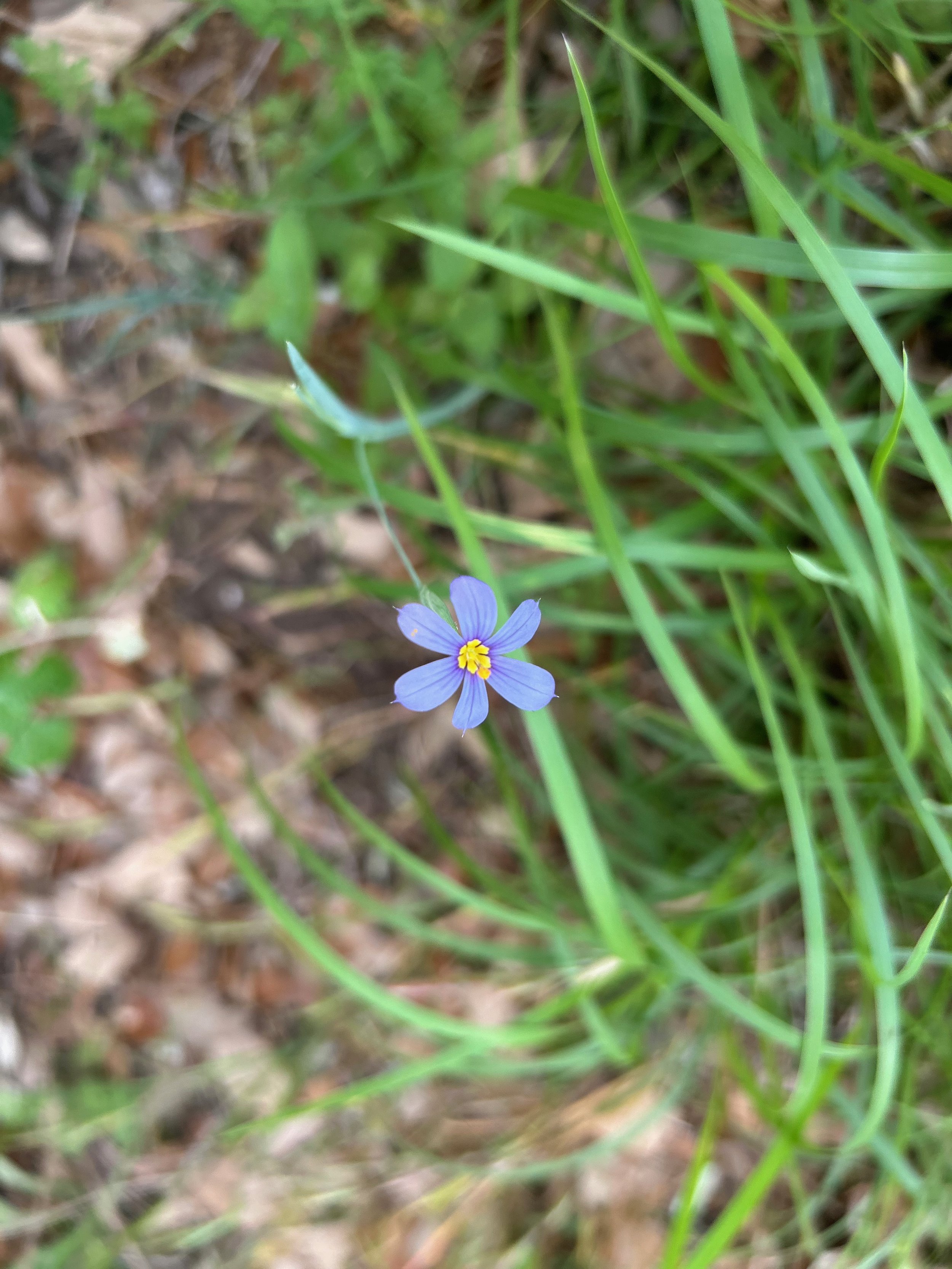 a love letter to taking a walk