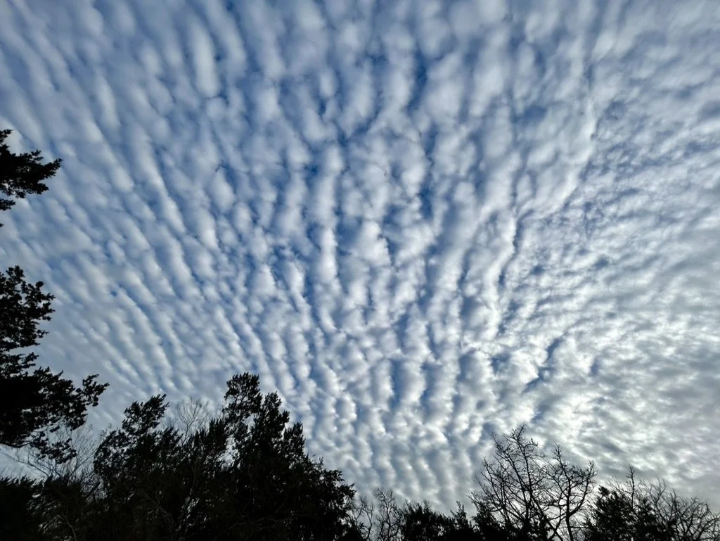 a love letter to the sky