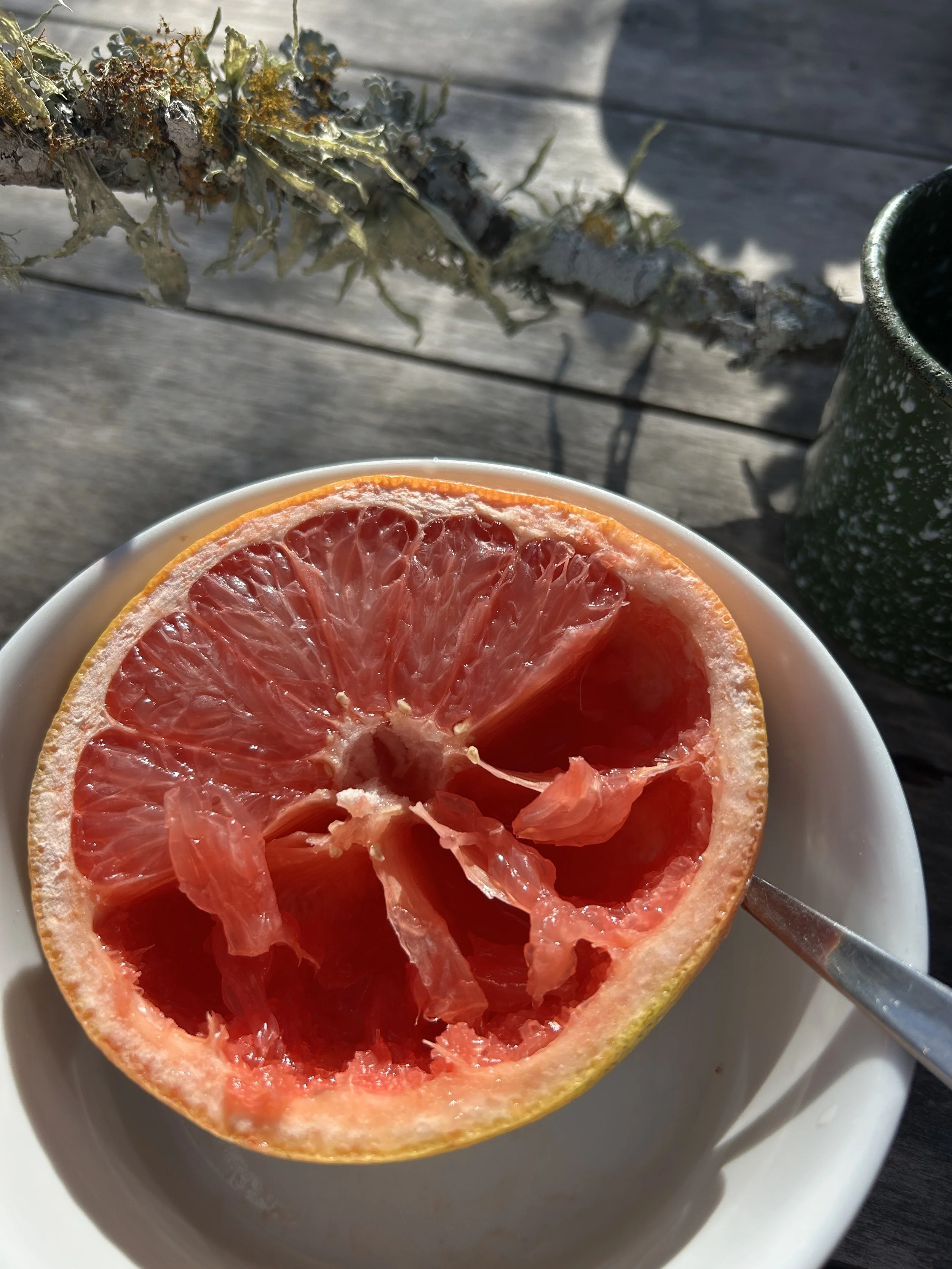 a love letter to grapefruit