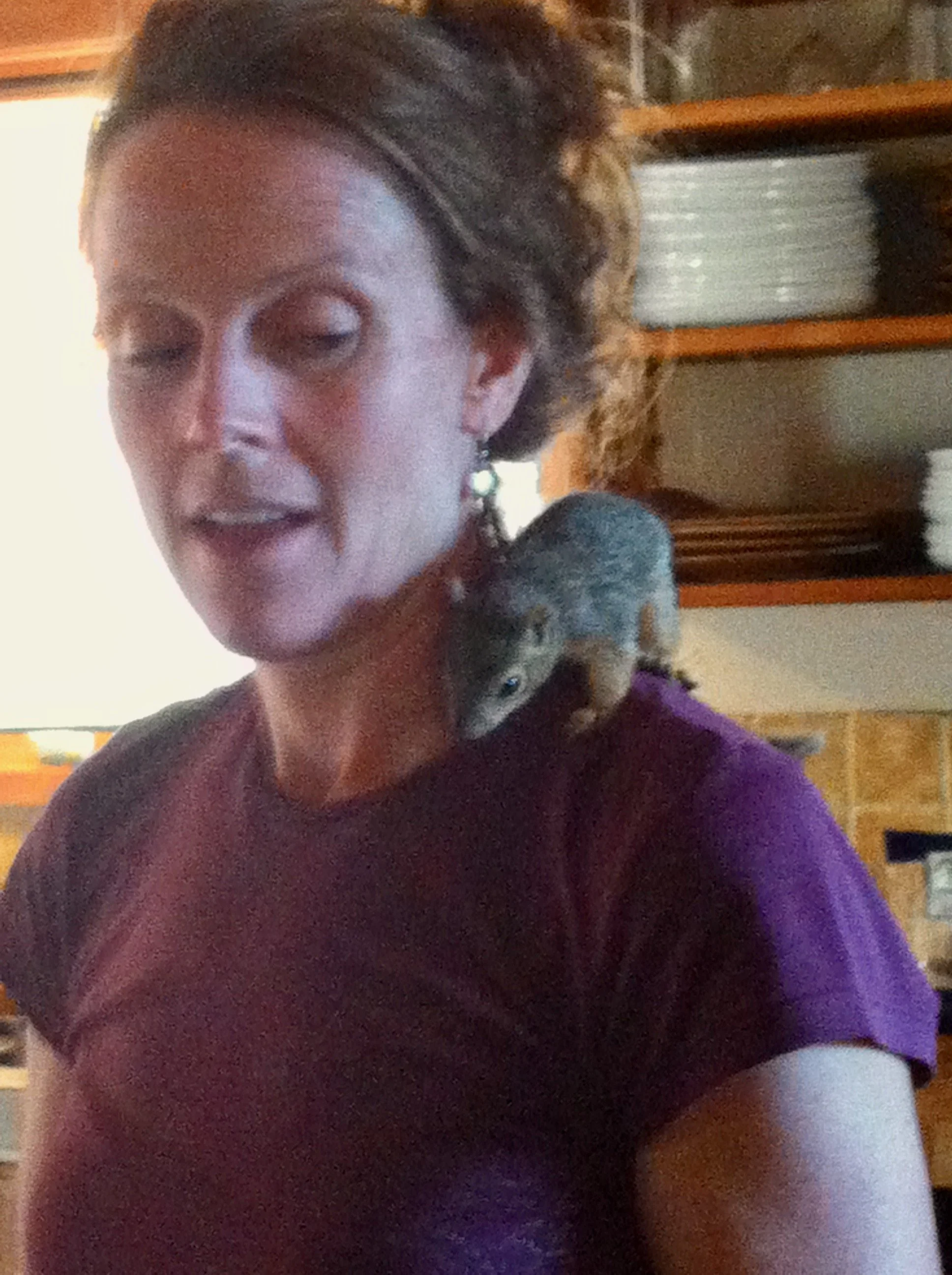 a love letter to squirrels