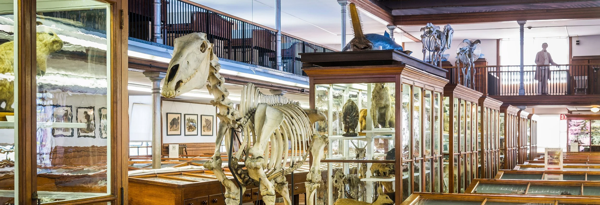 Philly’s Hidden Gems for Learning and Fun
