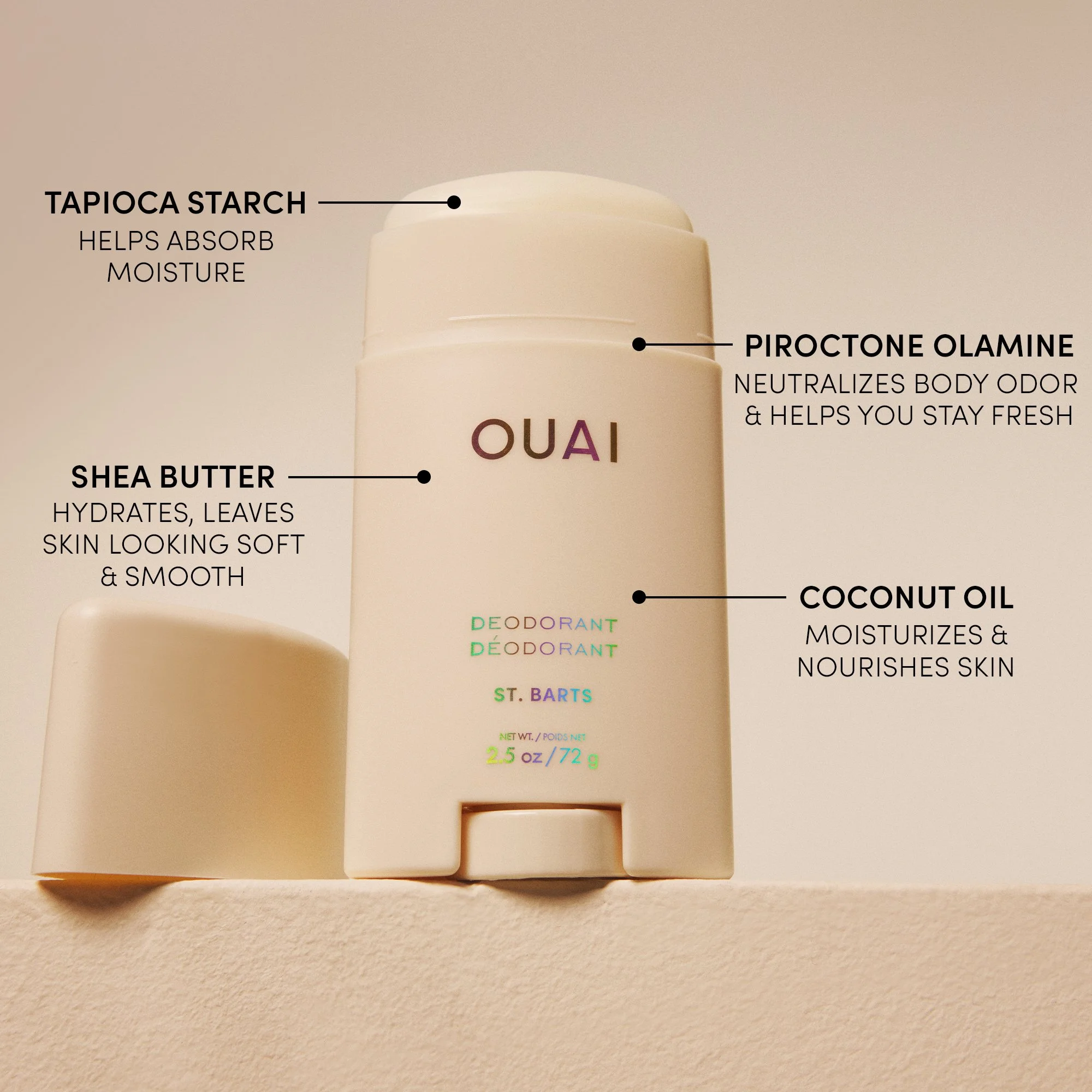 KEY INGREDIENTS INFOGRAPHIC SB.jpg