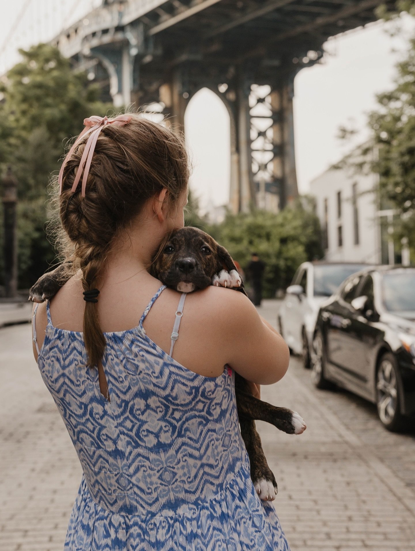 Life just got a whole lot furrier 🤍🫶🏼🤍
.
#wedding #photographer #weddingphotographer #weddingphotography #familyphotos #familyphotographer #newengland #newenglandphotos #newenglandphotographer #travelingphotographer #newenglandweddingphotographer