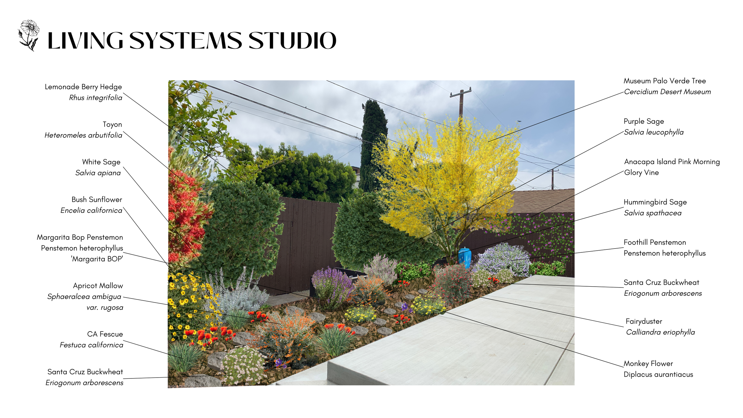 3524 Maplewood Design &Plant Palette  (5).png