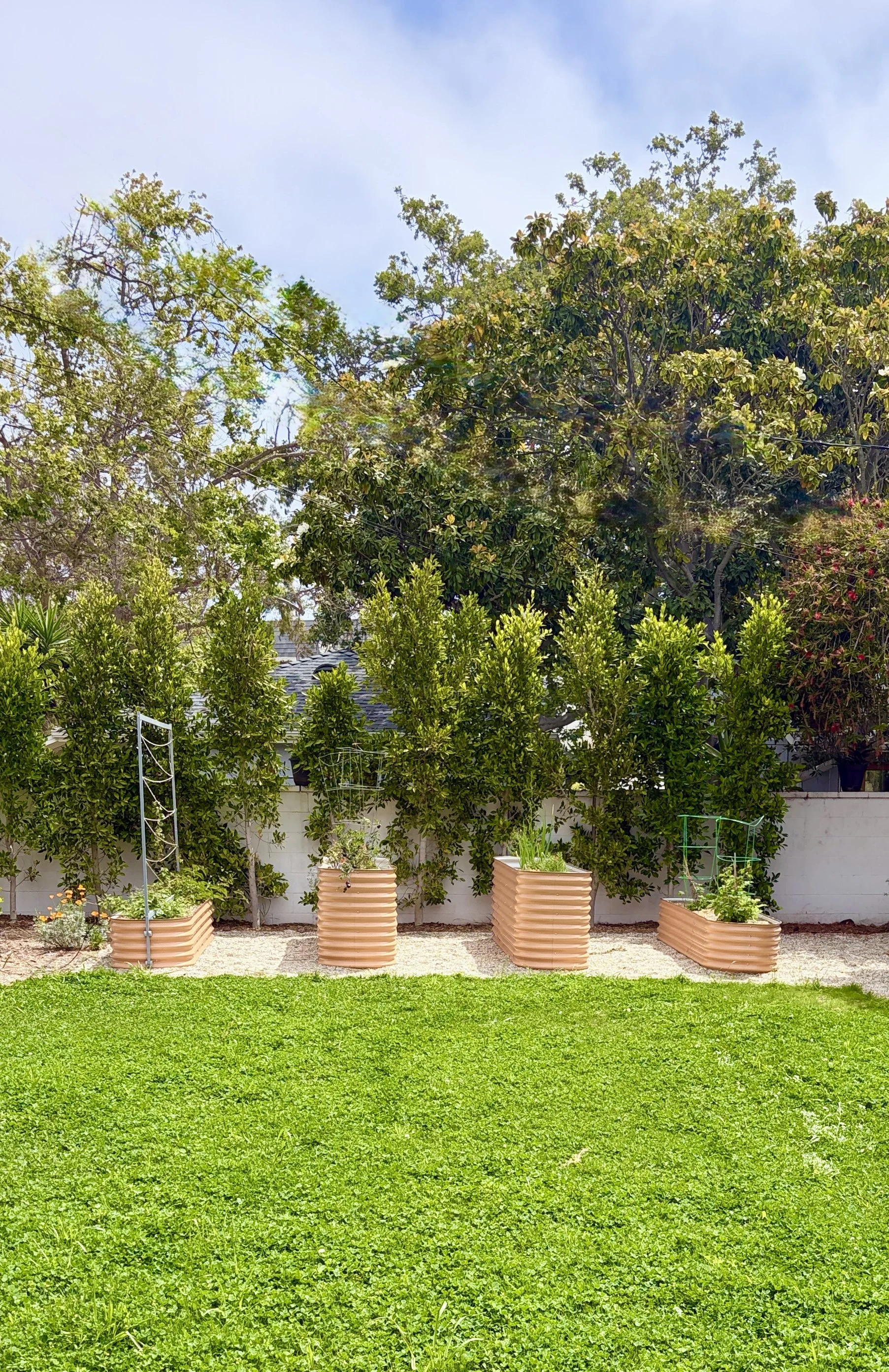A backyard garden scene featuring four raised Vego garden beds with green plants, and several lush trees in the background under a clear blue sky.