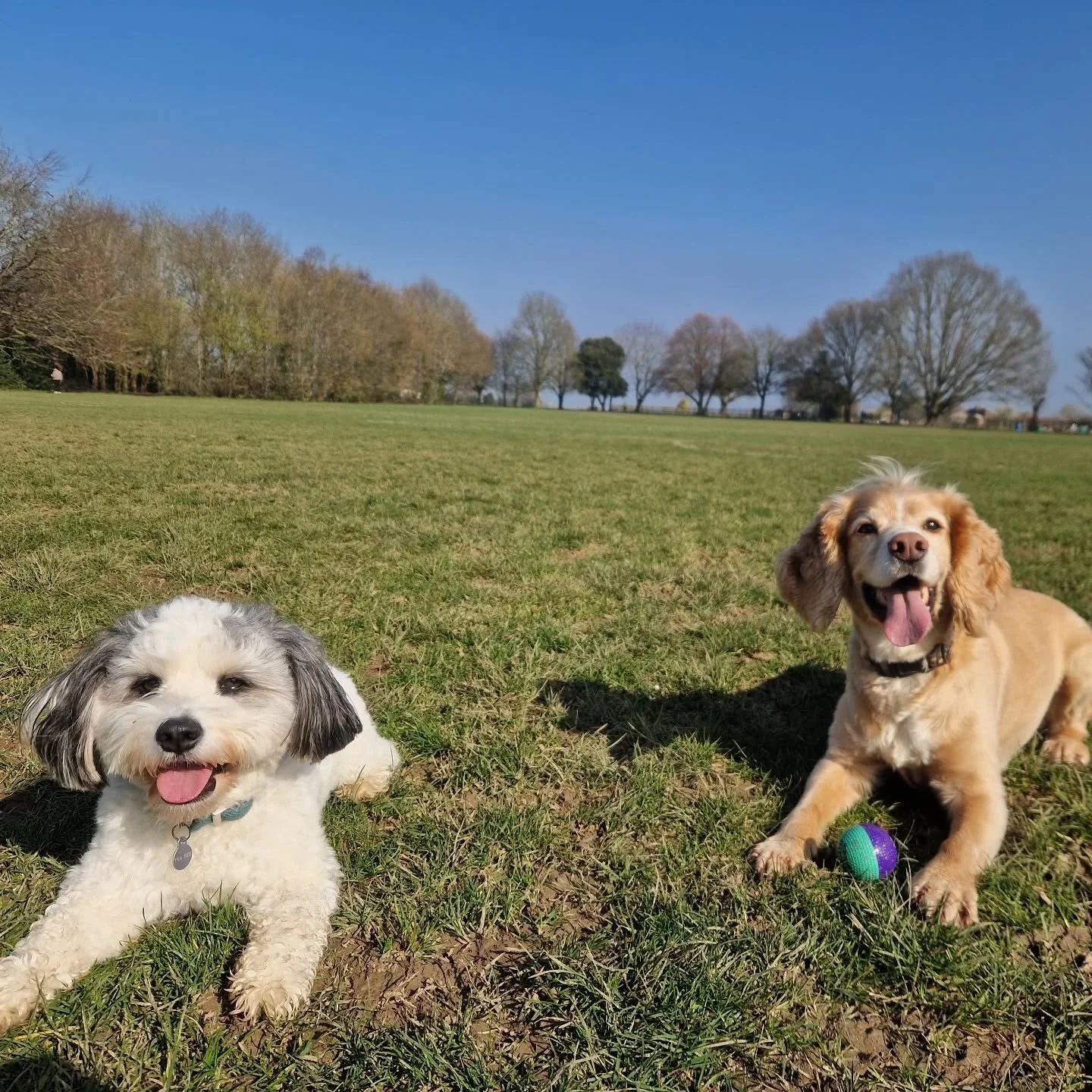 Basking with a bestie 💫