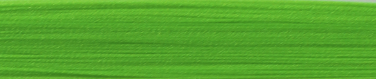 Neon Green 6884 ▾■