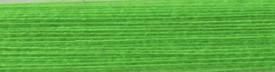 Neon Green