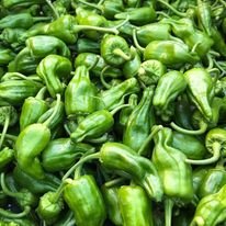 padrons.jpg